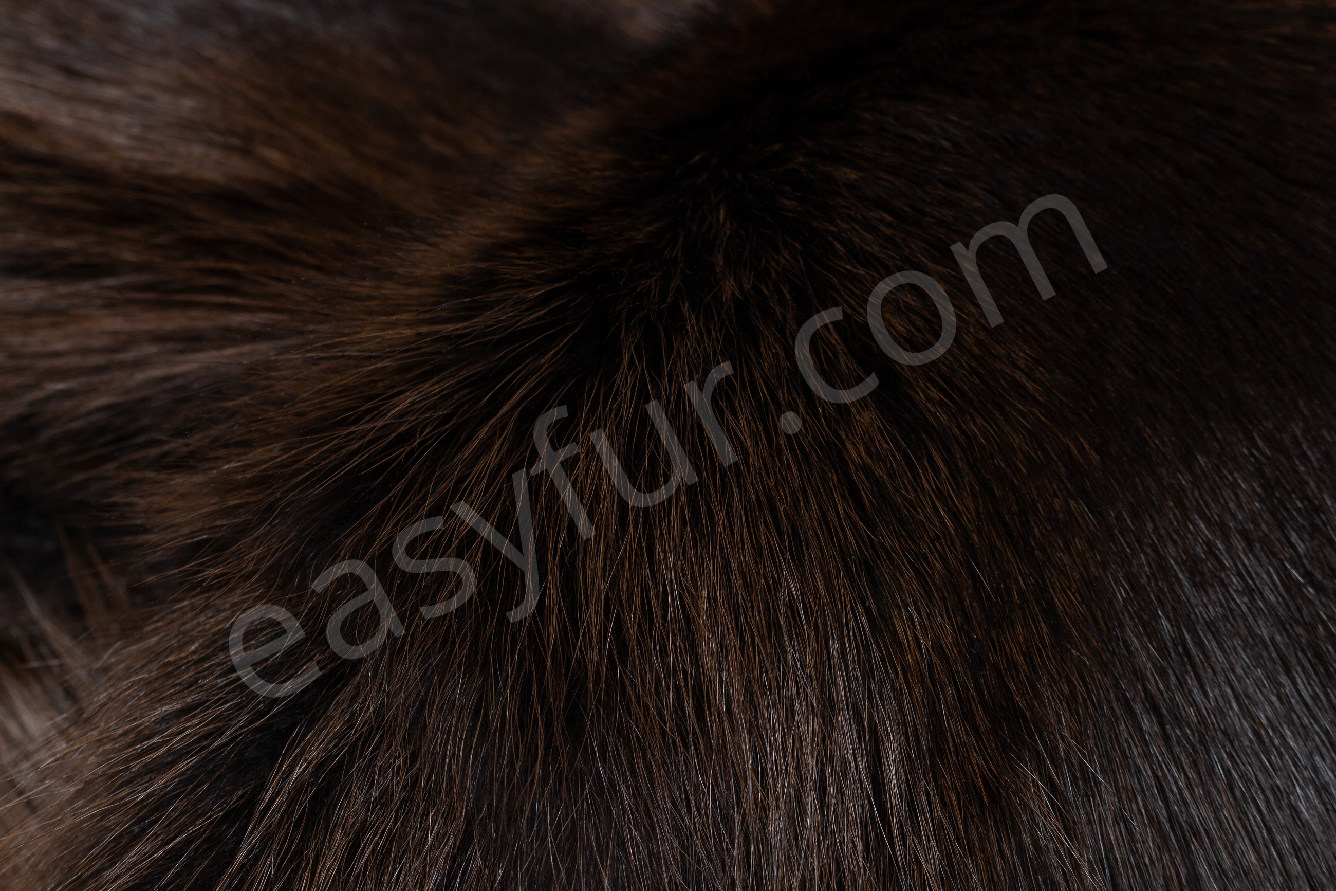 6-1858-Waschaer-Felle-Raccoon-Fur-Skins-Easyfur
