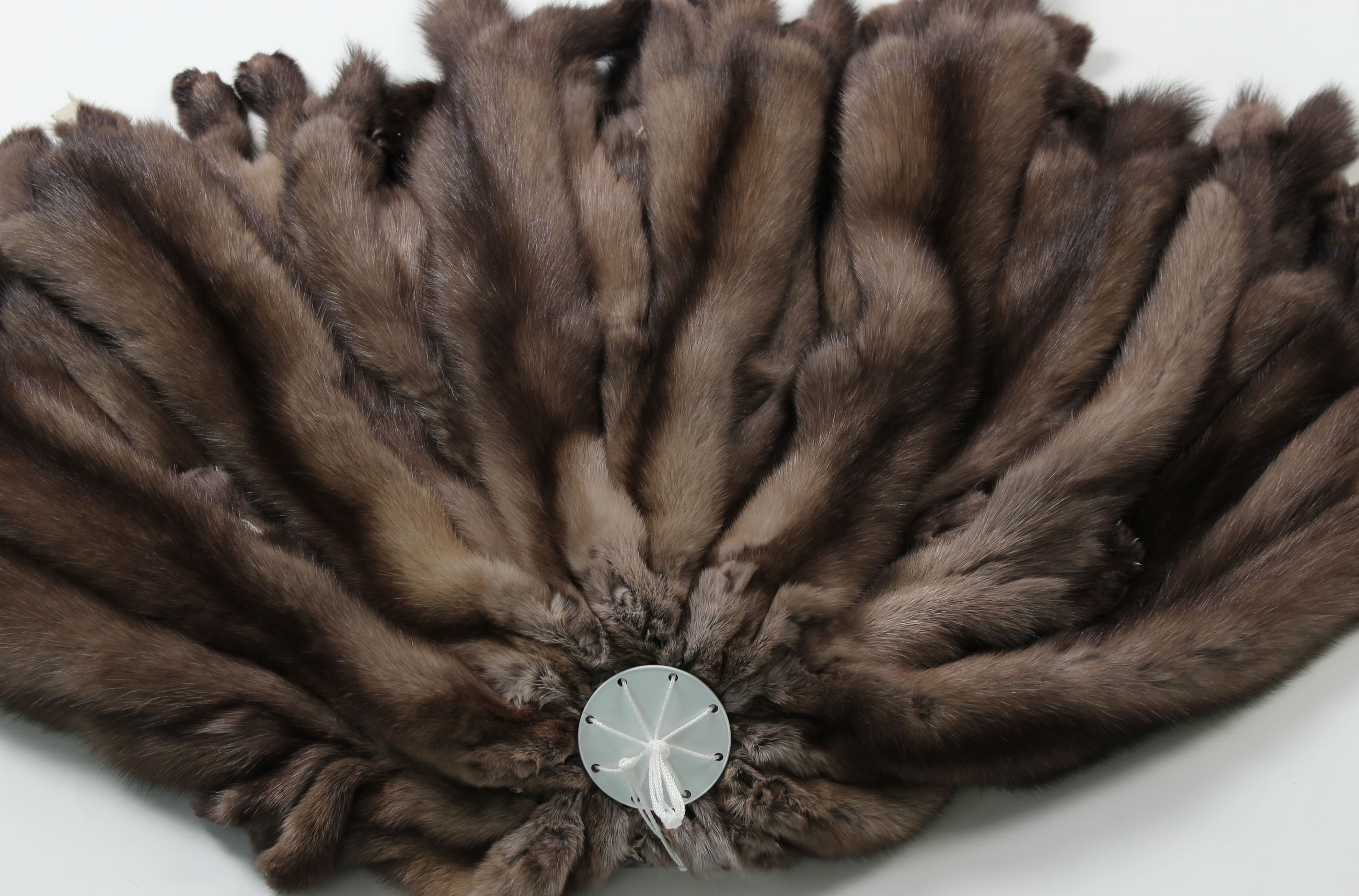 1-Sable-skin-russian-sable-Tortora