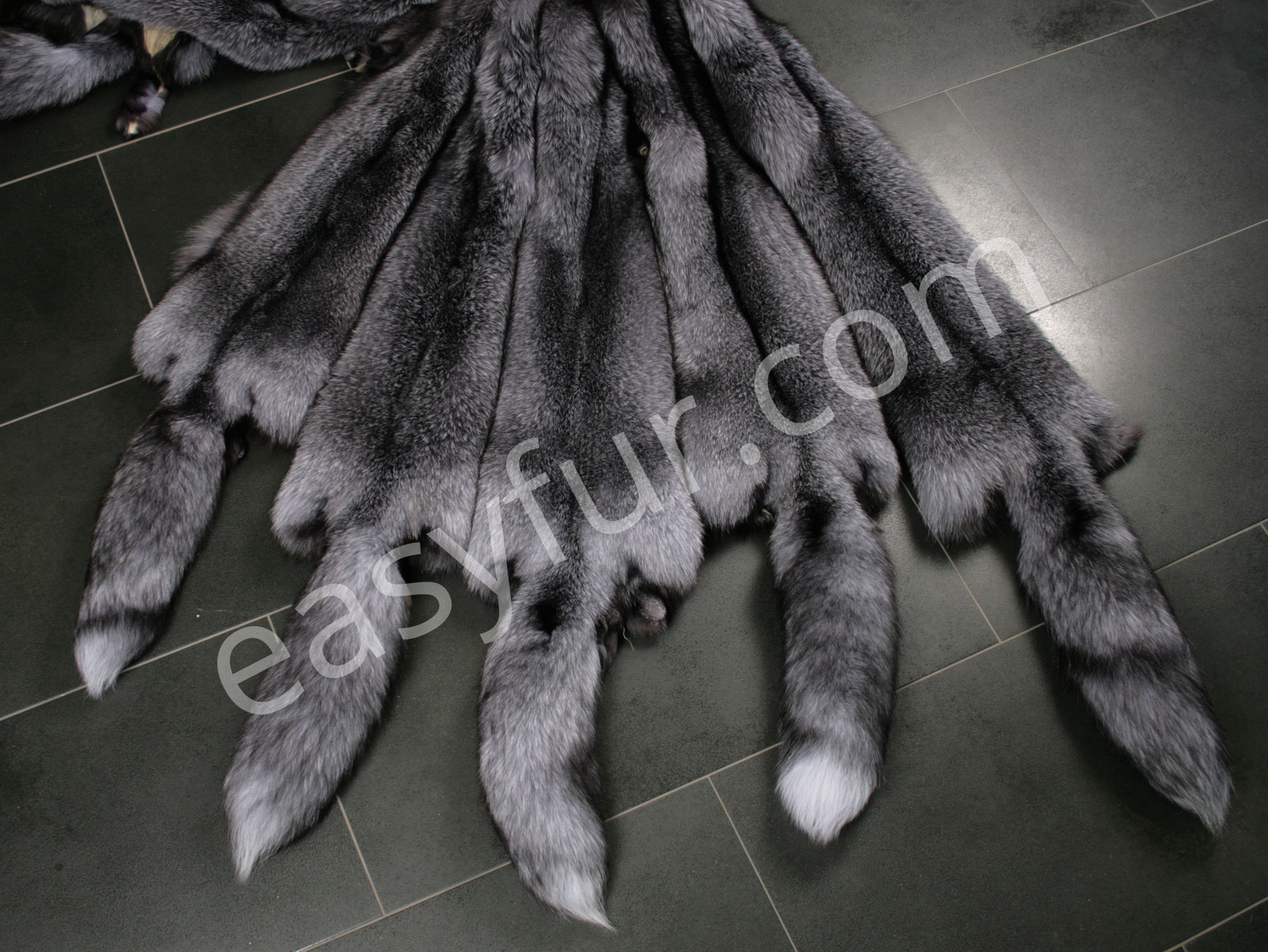 blue-frost-skins-bluefrost-2