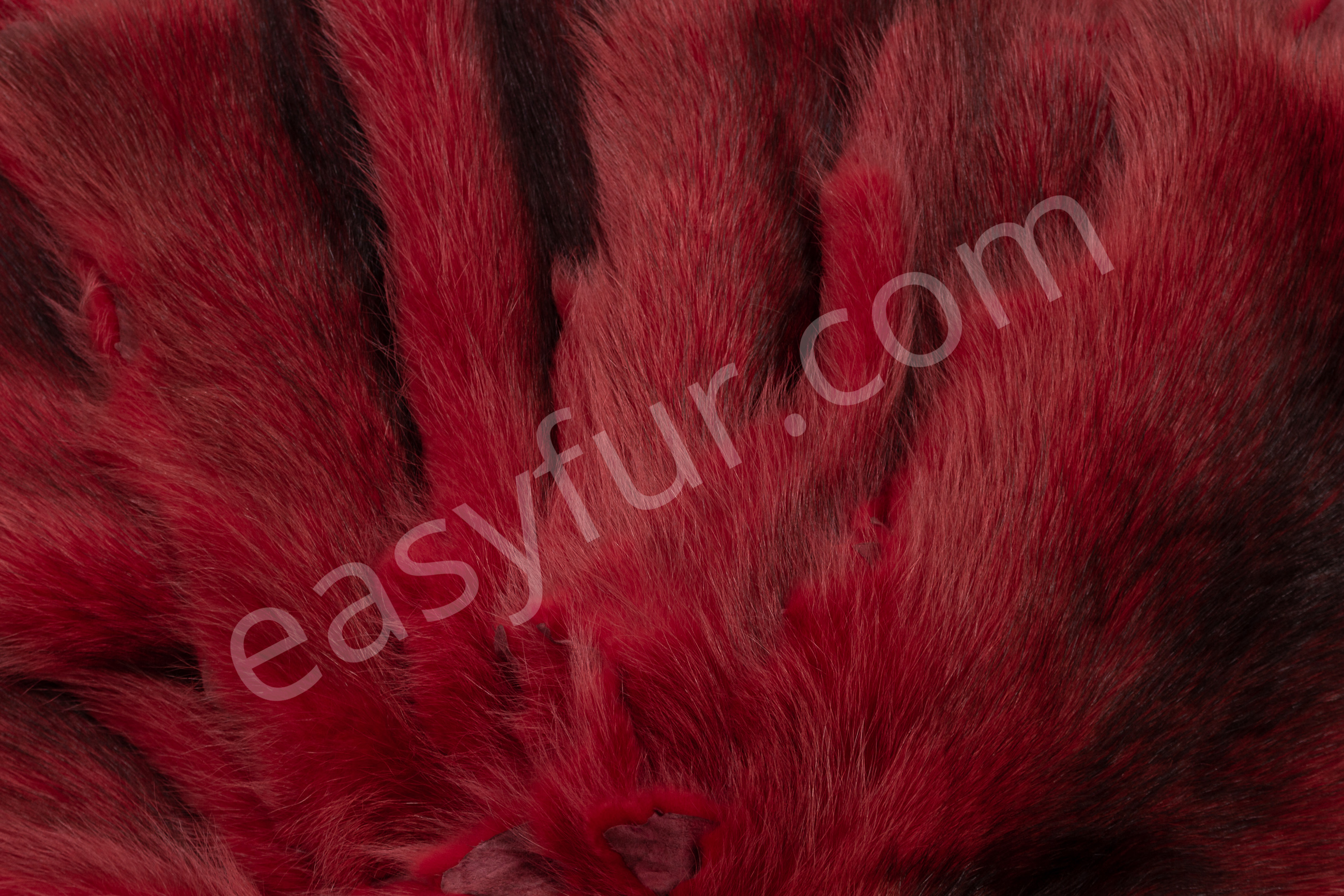 7-6037-Waschbaeren-ferrari-rot-raccoons-ferrari-red-easyfur