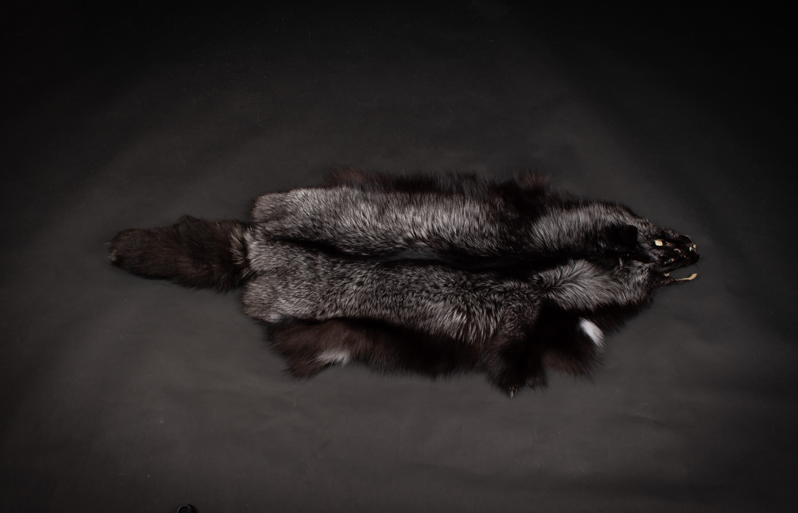 Scandinavian Silverfox Pelt