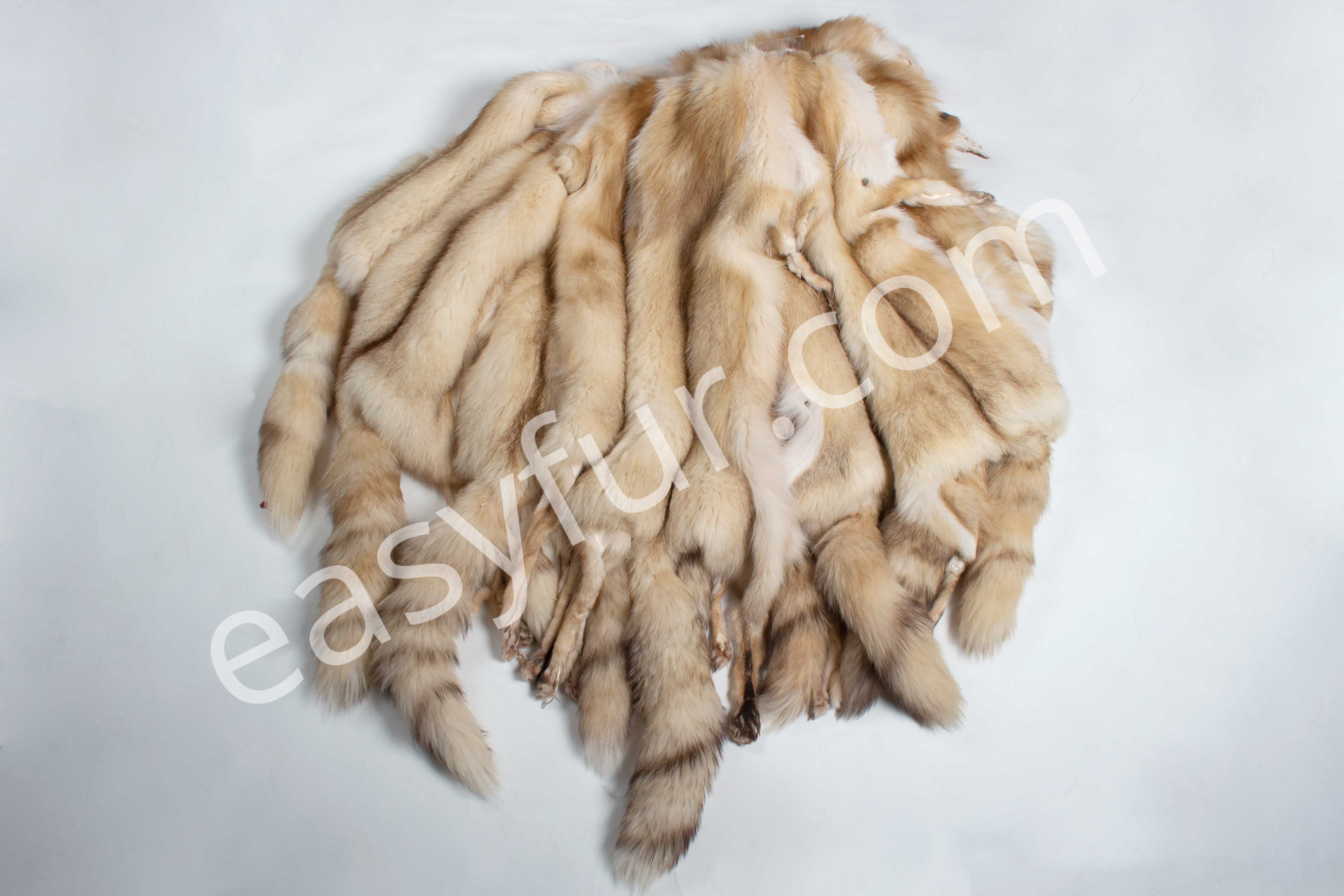3-3050-Europaeische-Rotfuchsfelle-Creme-European-Red-Fox-Skins-Easyfur-Lars-Paustian