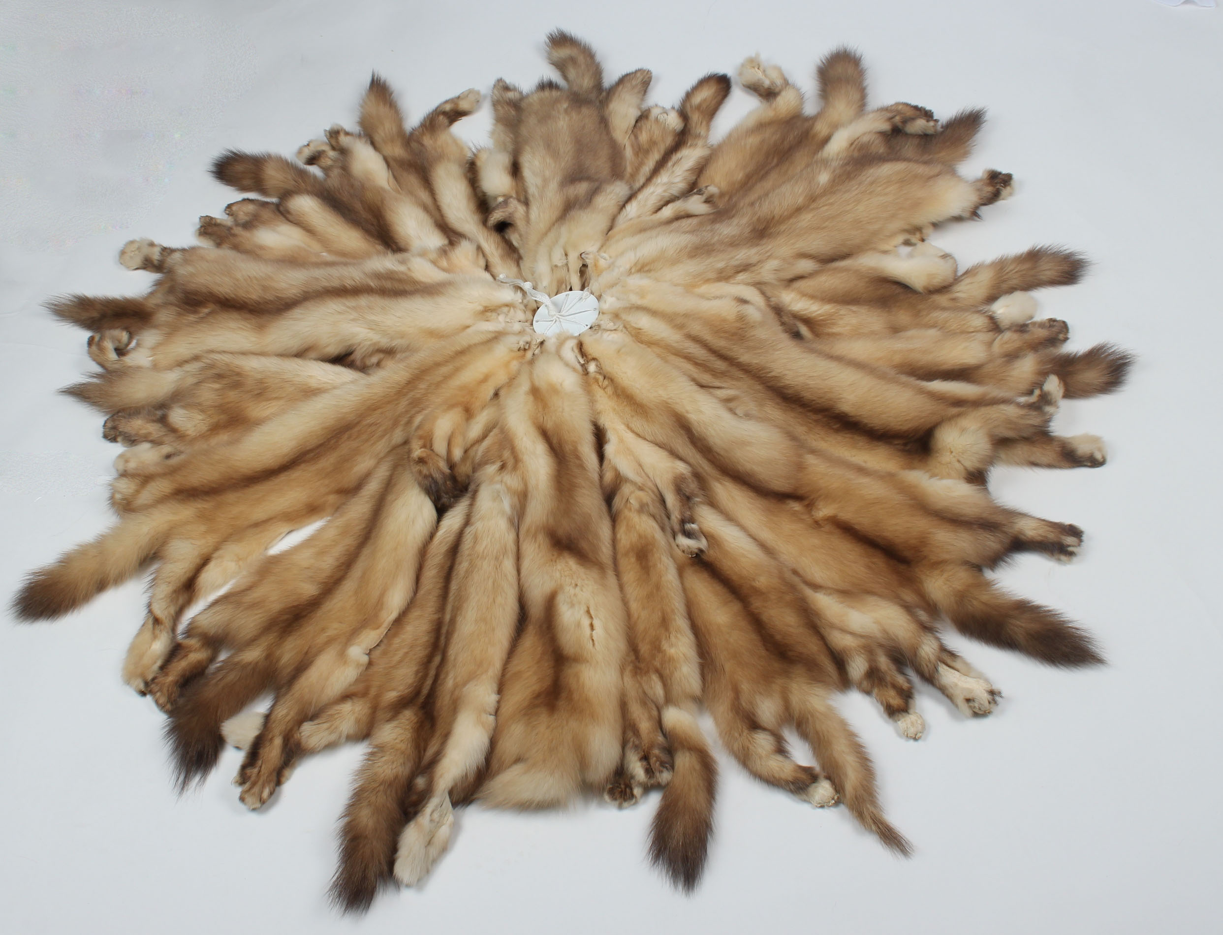 6-russian-barguzin-Sable-Skins-sojuzpushnina