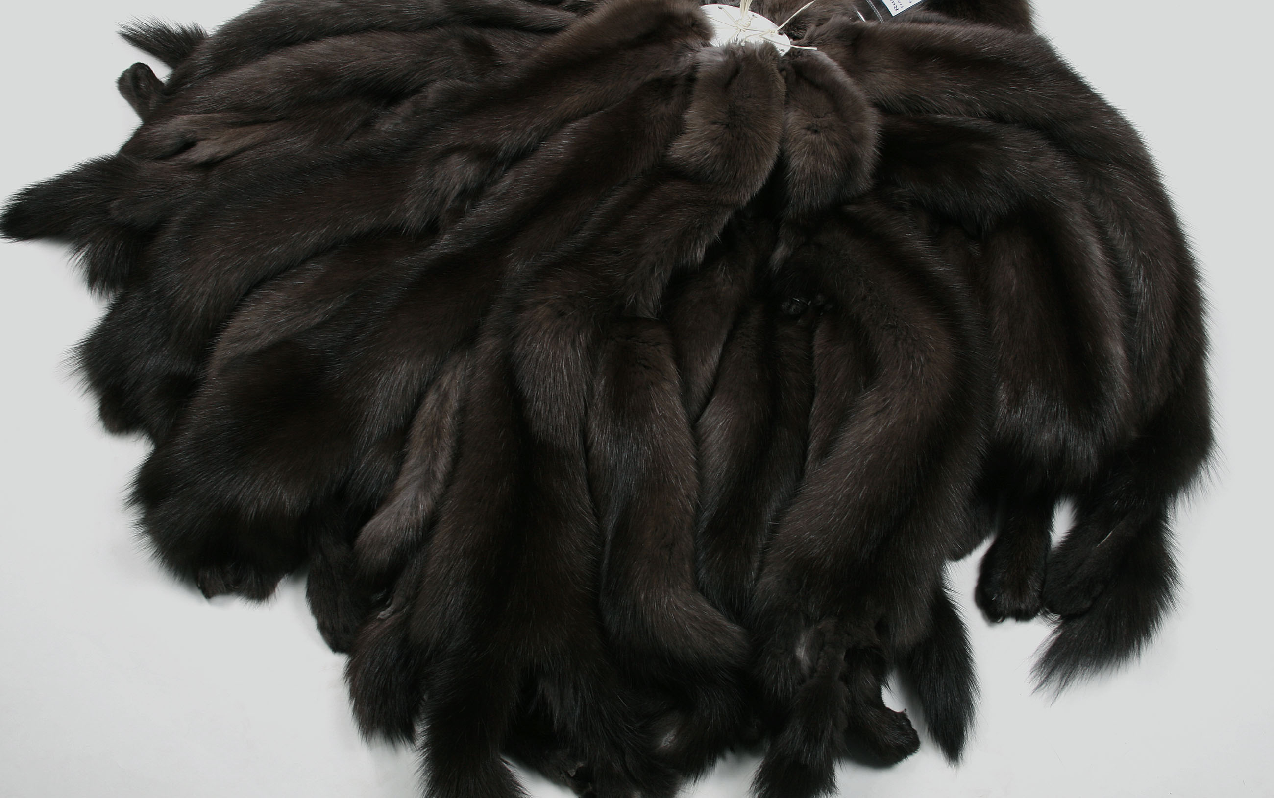 dark-russian-sable-skins-4