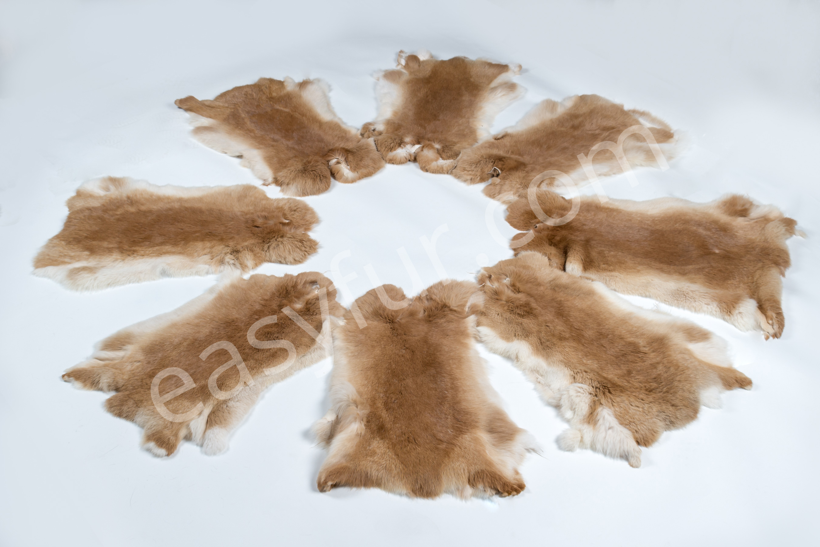 6-1980-Rabbits-Ginger-Kaninchen-Felle