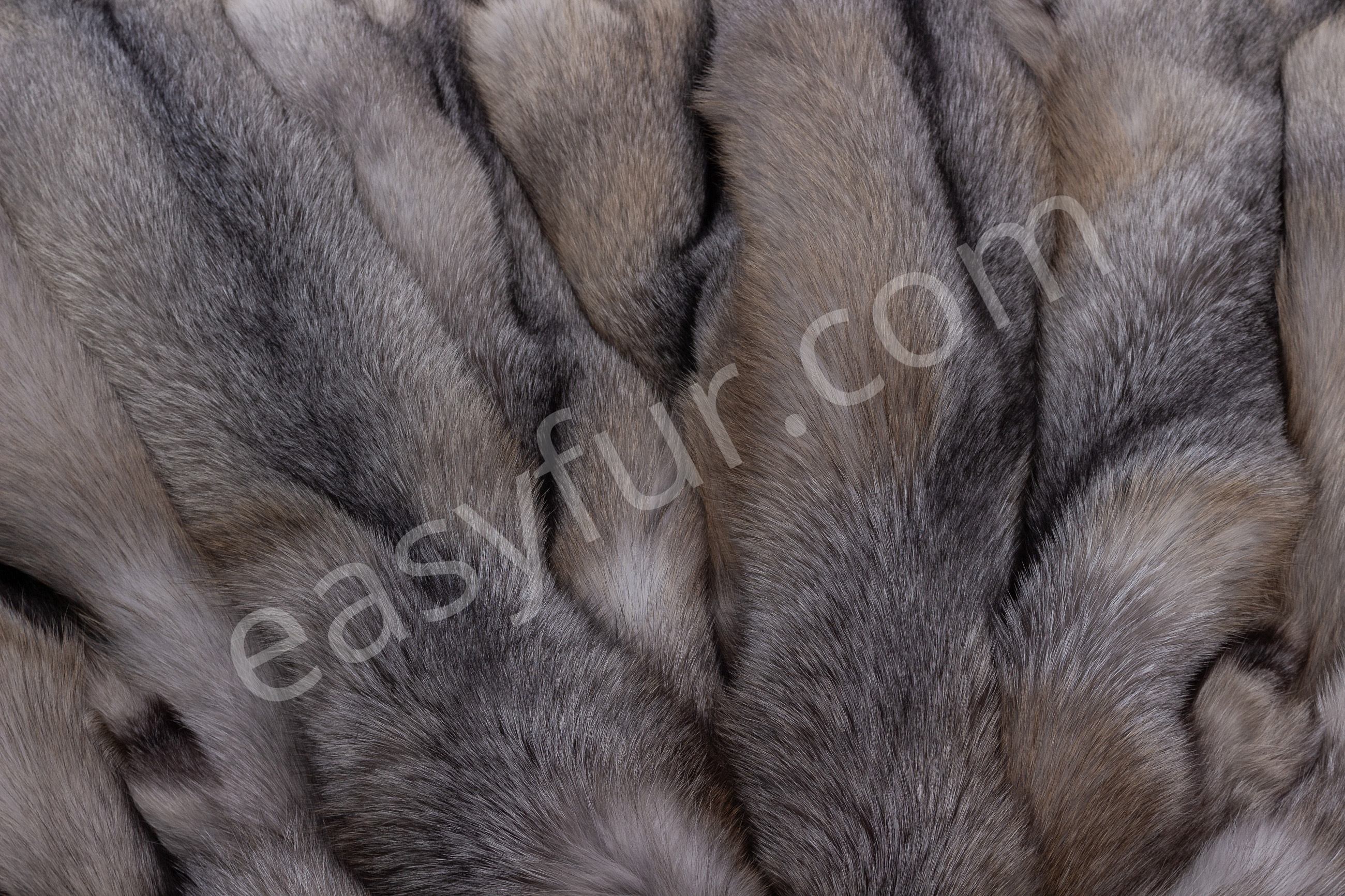 6-5670-Blue-Frost-Fuechse-Blue-Frost-Fox-Brown-Type