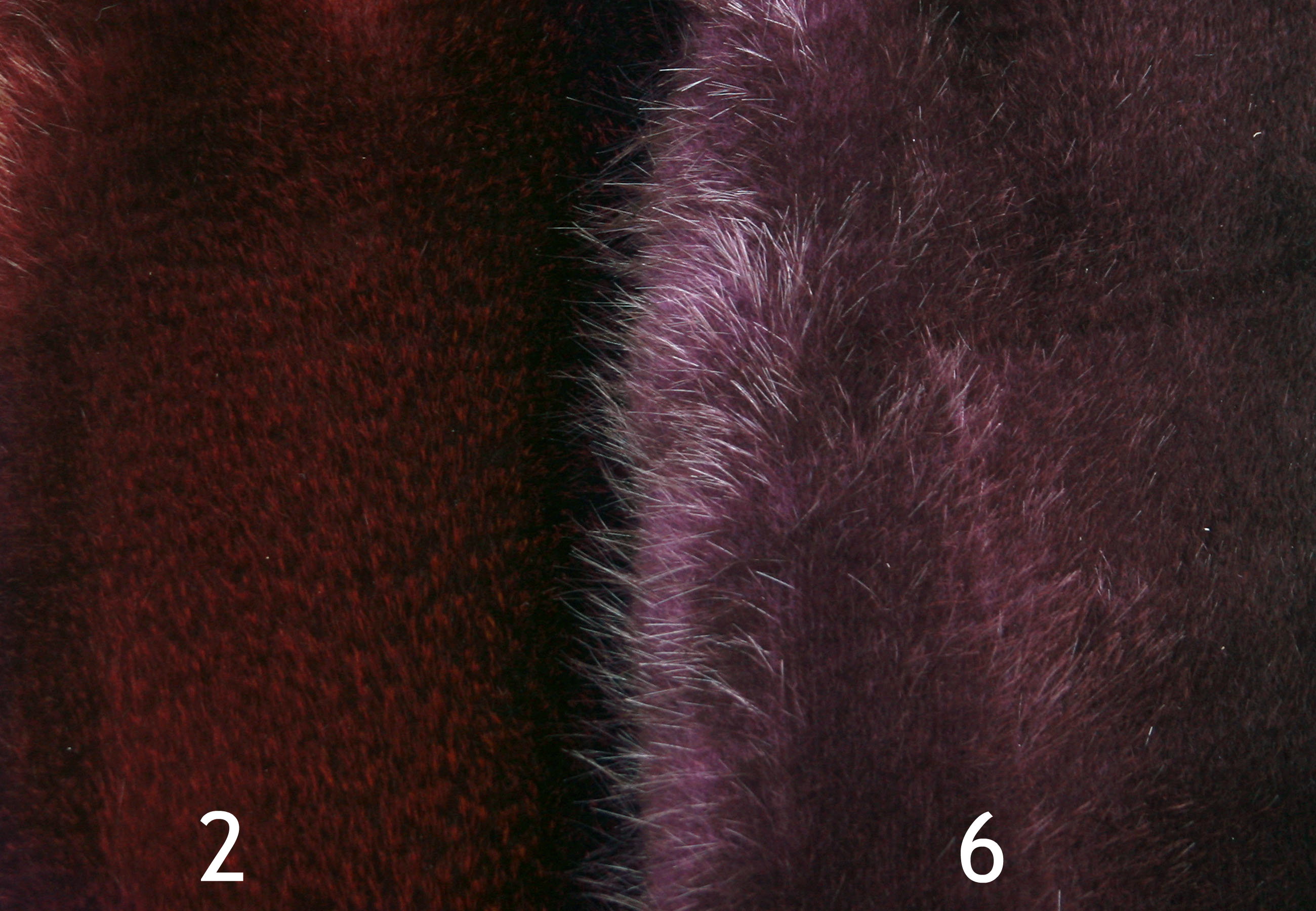 Biberfell-Faerbung-beaver-skins-coloured-5