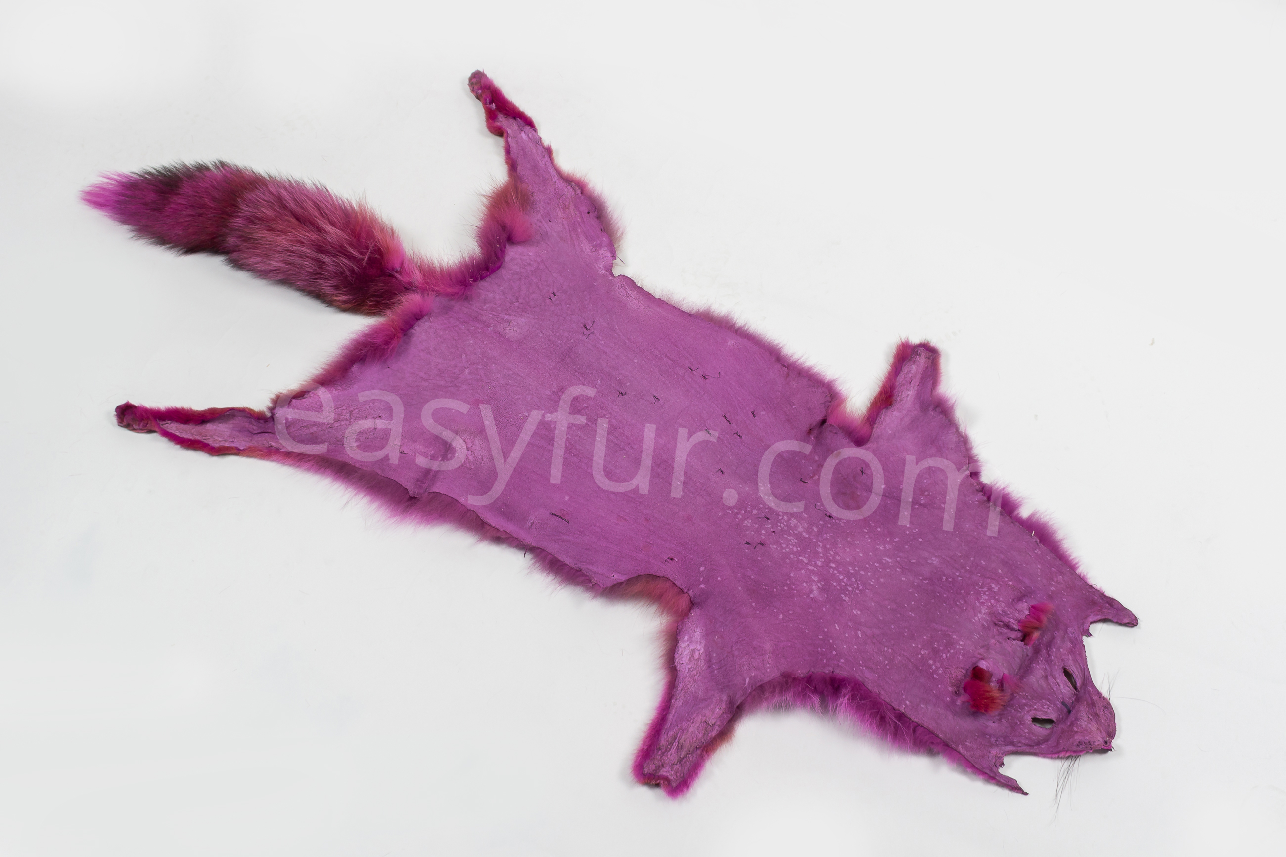 5-6038-Europaeische-Rotfuechse-pink-European-Red-Foxes