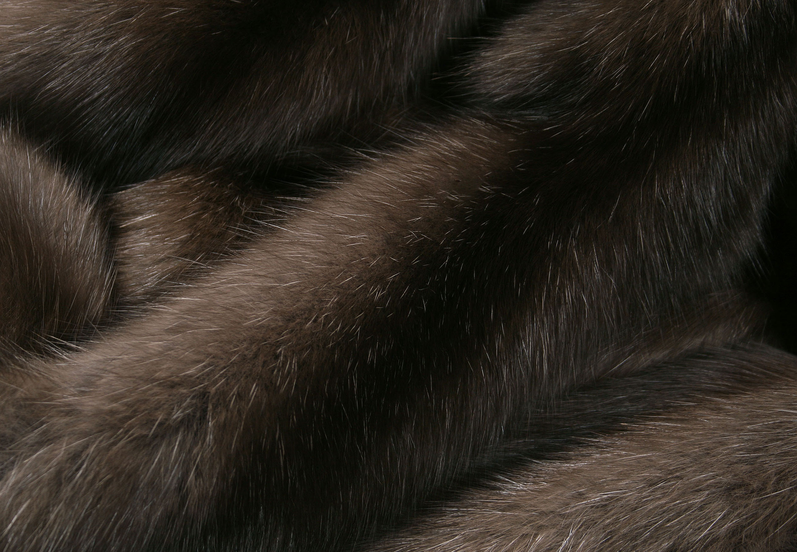 3-4967-Russian-Barguzin-Sable-Skins-Zobelfelle