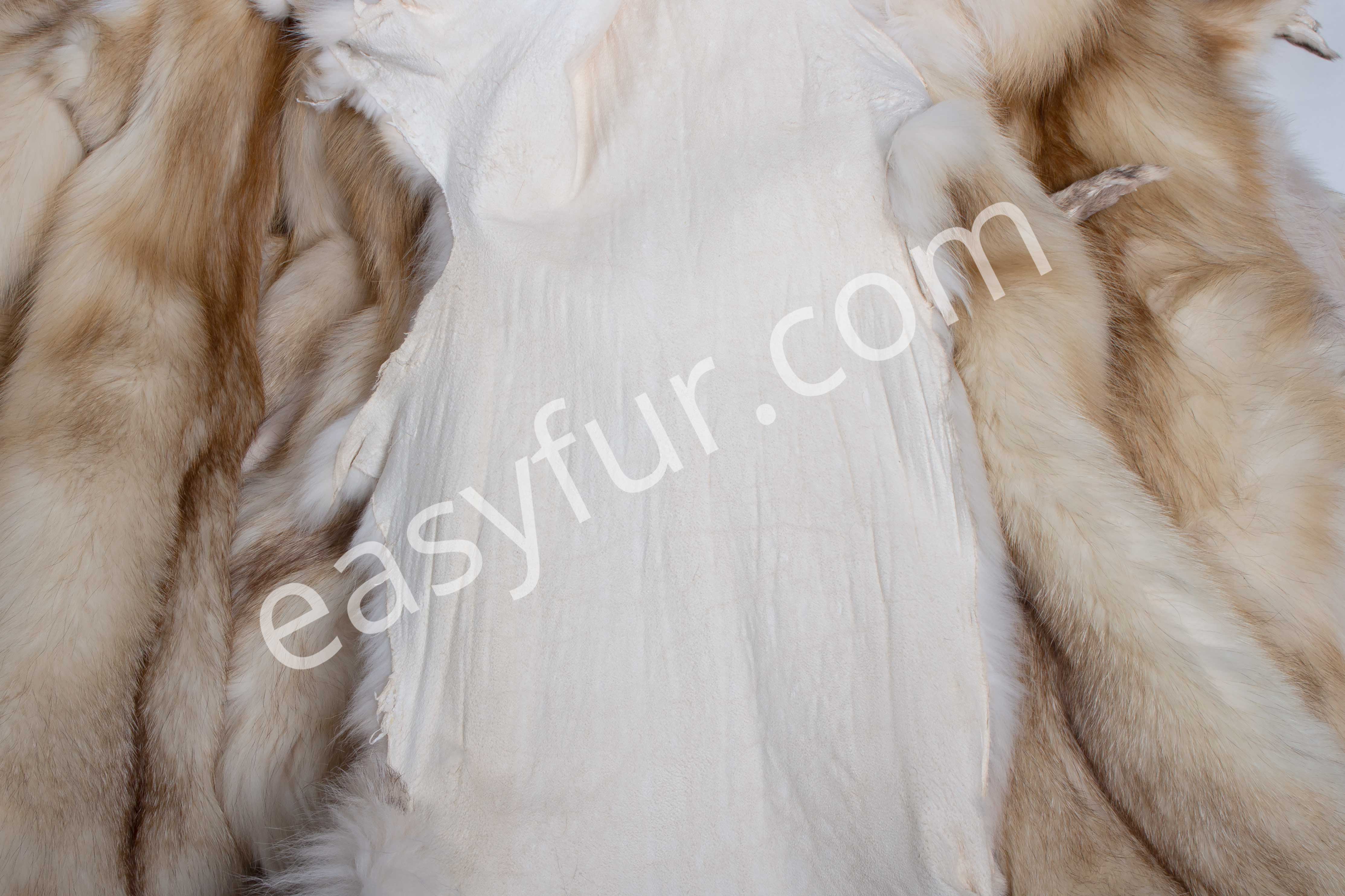 6-3050-Europaeische-Rotfuchsfelle-Creme-European-Red-Fox-Skins-Easyfur-Lars-Paustian