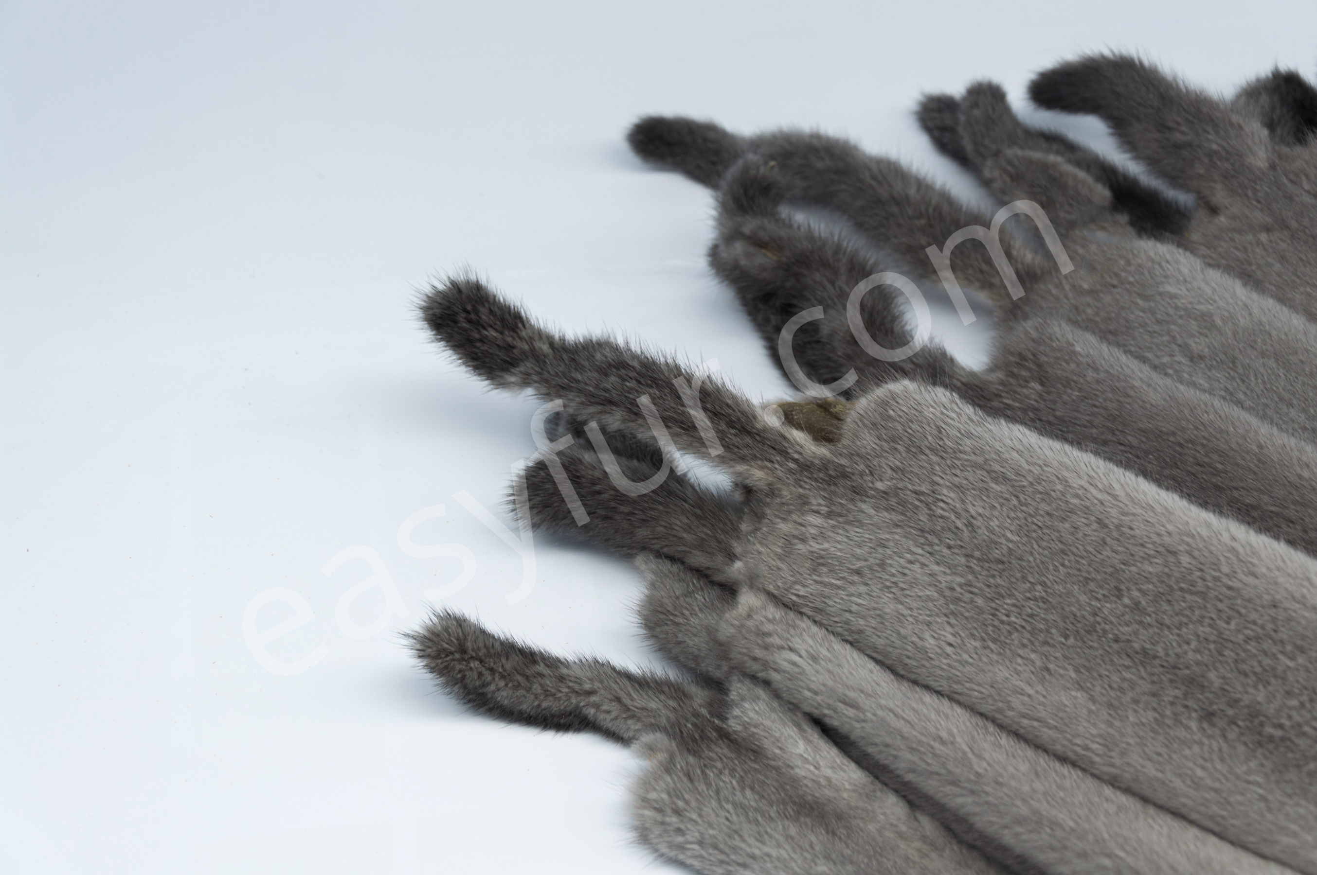6-1613-Silverblue-Velvet-Minks-Nerze