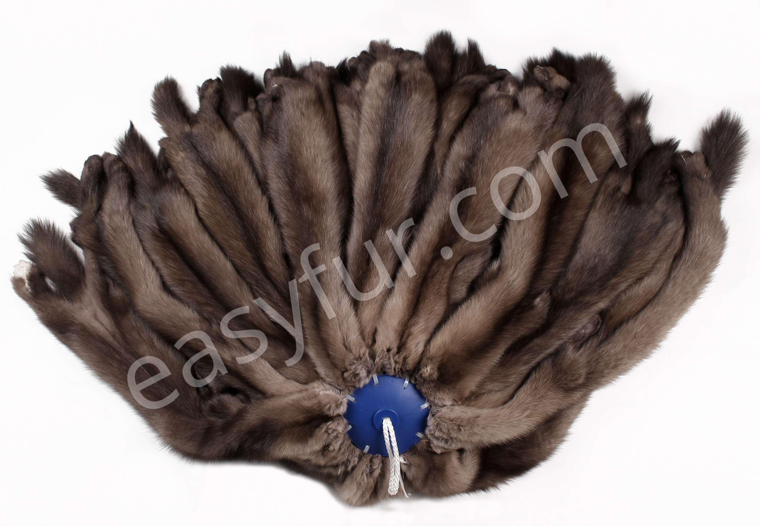 02-5489-Russische-Zobelfelle-Tortora