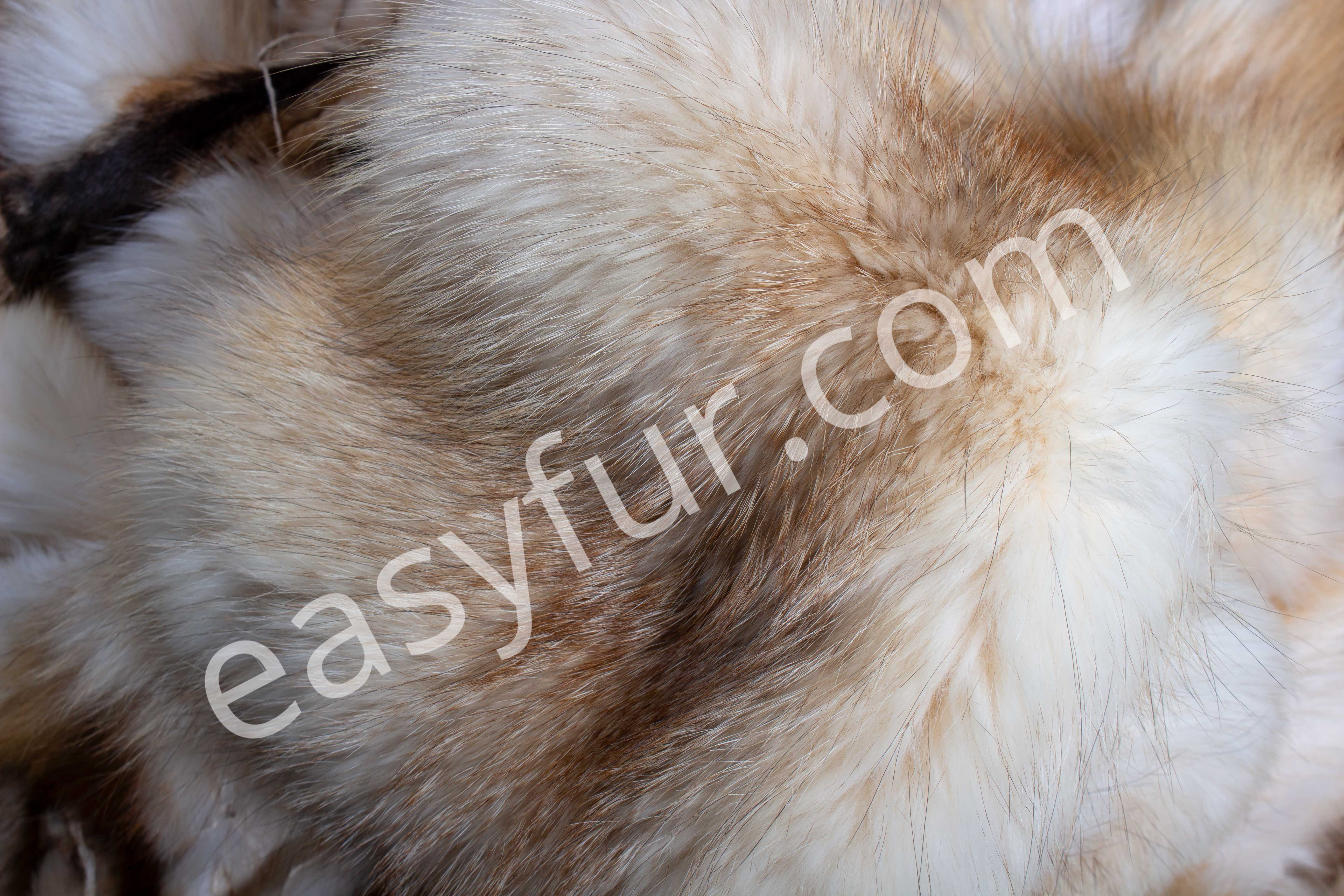 5-3050-Europaeische-Rotfuchsfelle-Creme-European-Red-Fox-Skins-Easyfur-Lars-Paustian