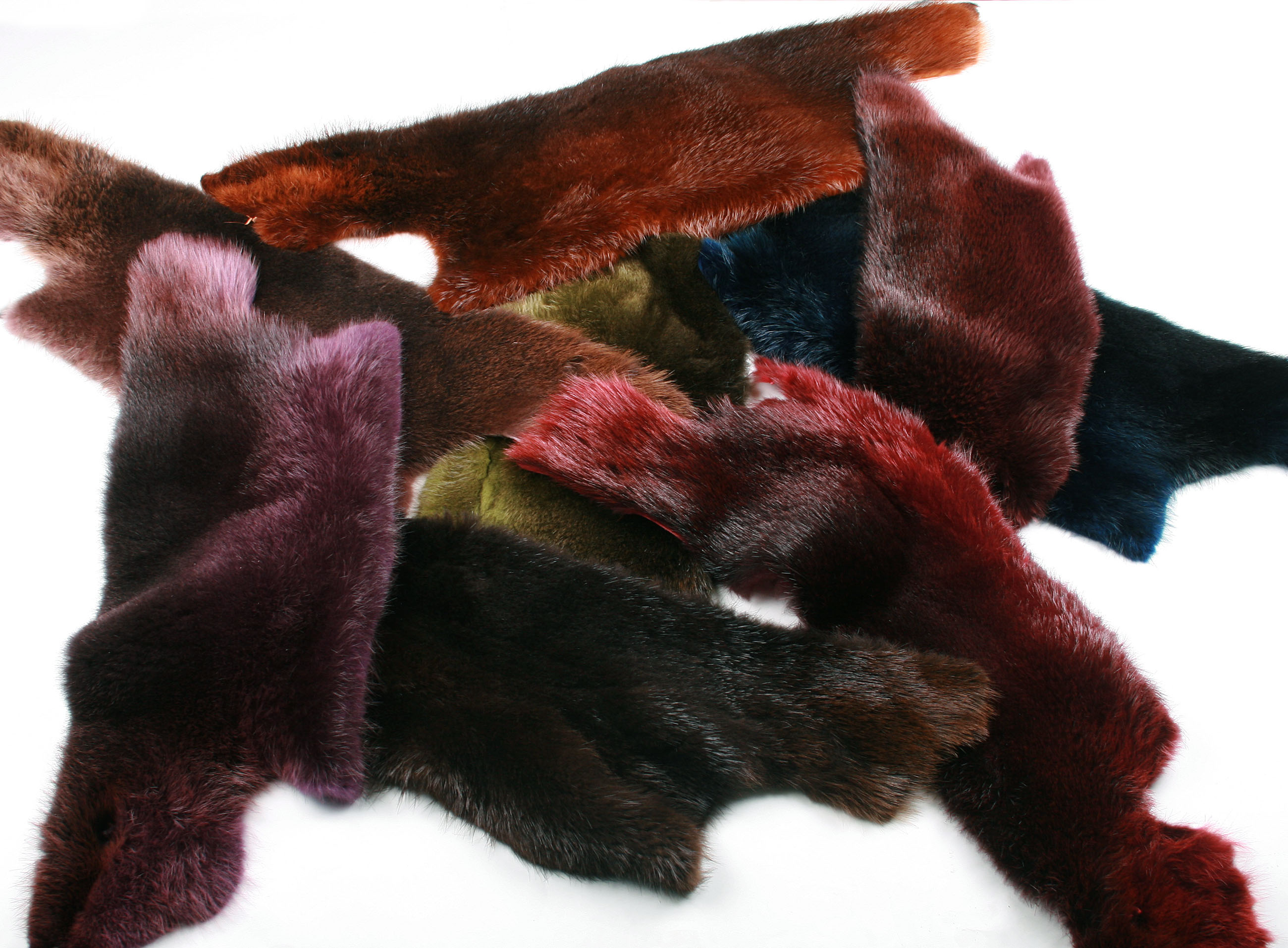 Biberfell-Faerbung-beaver-skins-coloured-7