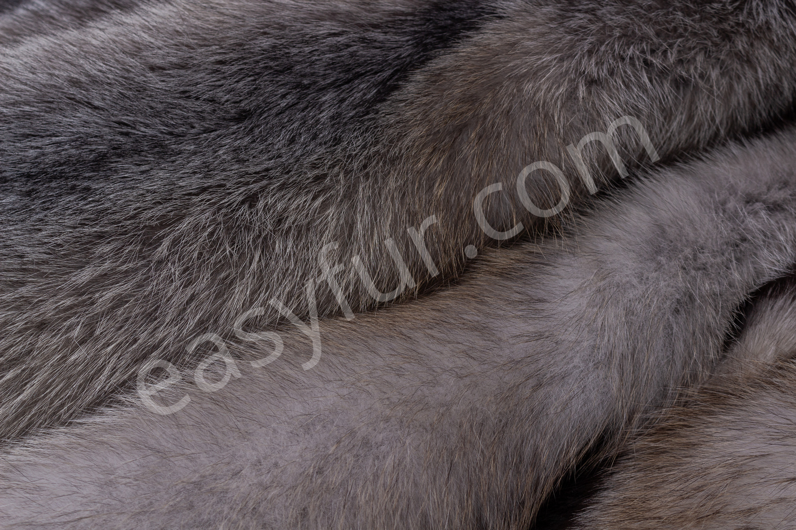 8-5670-Blue-Frost-Fuechse-Blue-Frost-Fox-Brown-Type