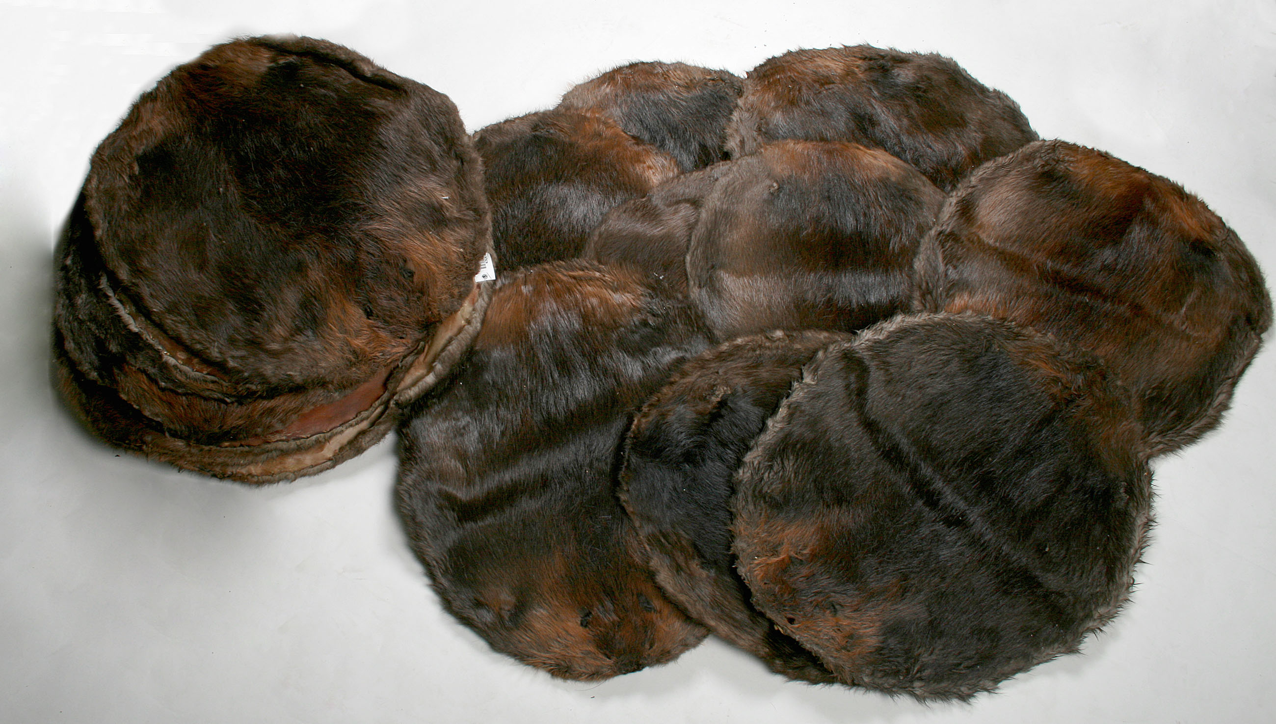 Biber-Rohfelle-raw-skins-beaver-1