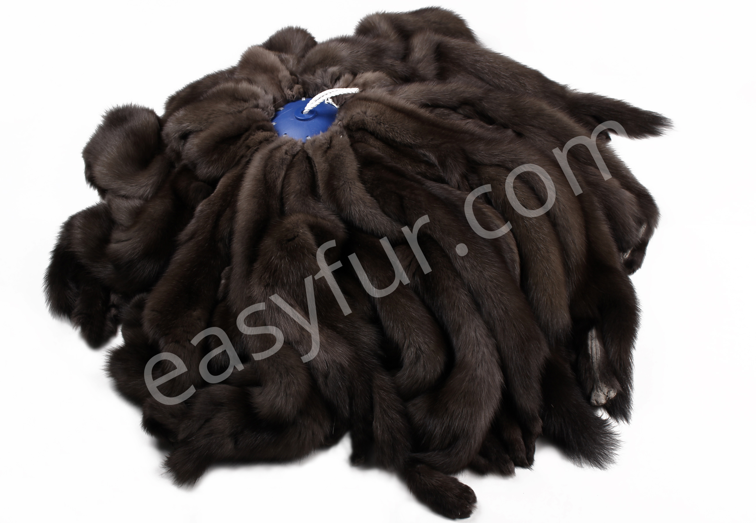 02-5495-Russische-Barguzin-Zobel-Felle