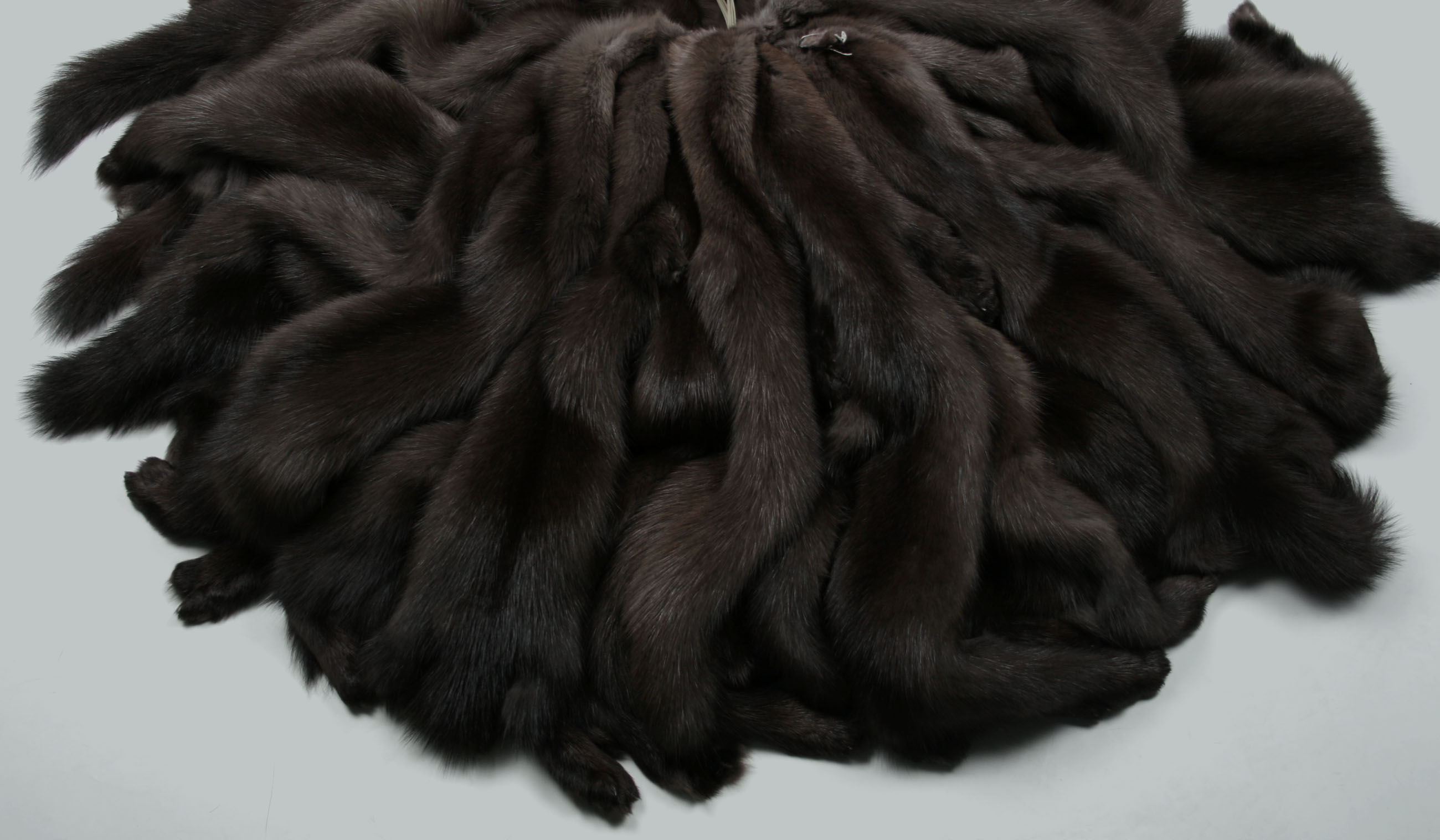 dark-russian-bargusin-sable-skins-4