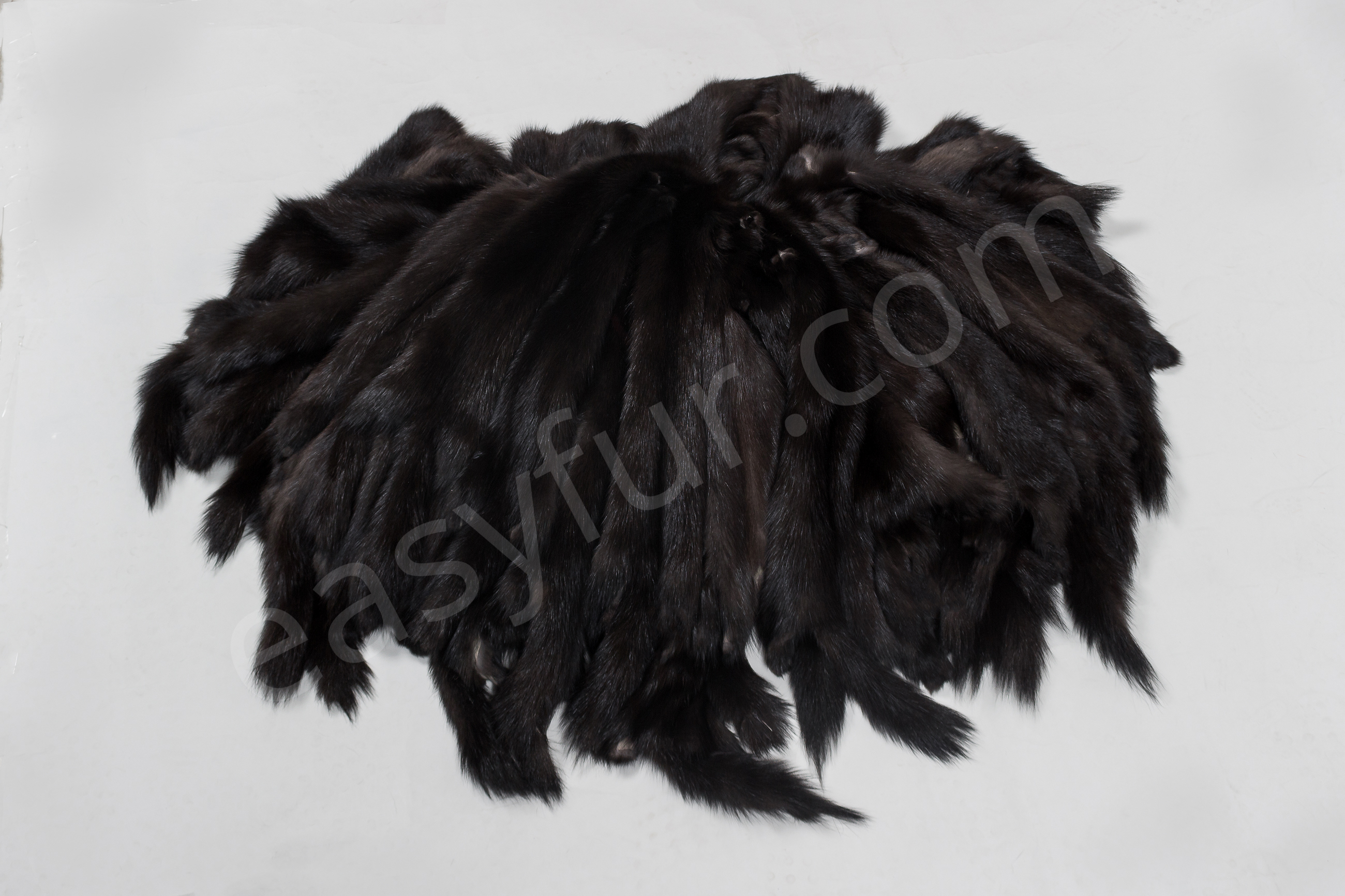 3-1850-Russische-Zobel-Felle-Russian-Sable-Skins-Easyfur