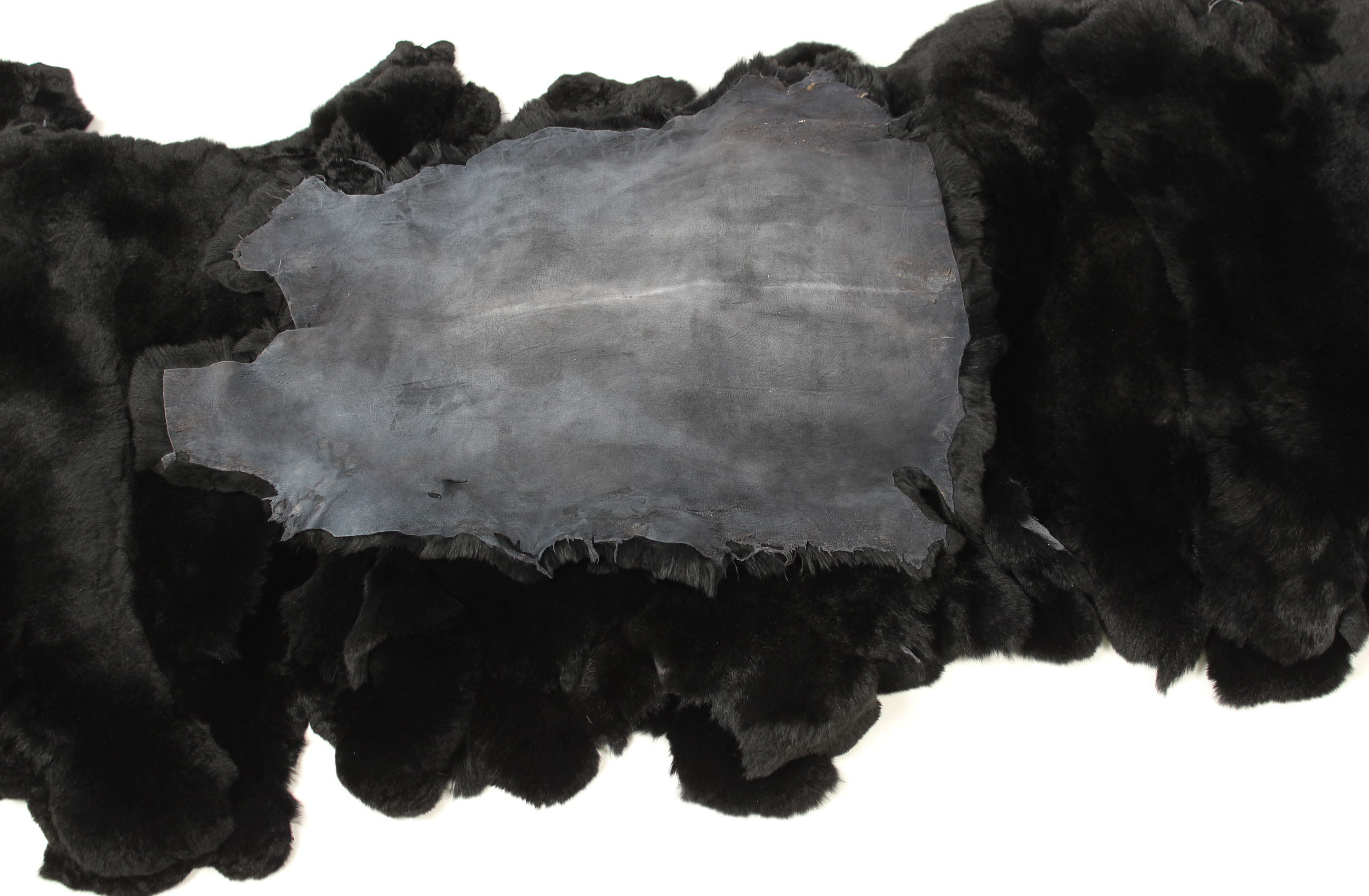 8-Rex-Rabbit-skins-black