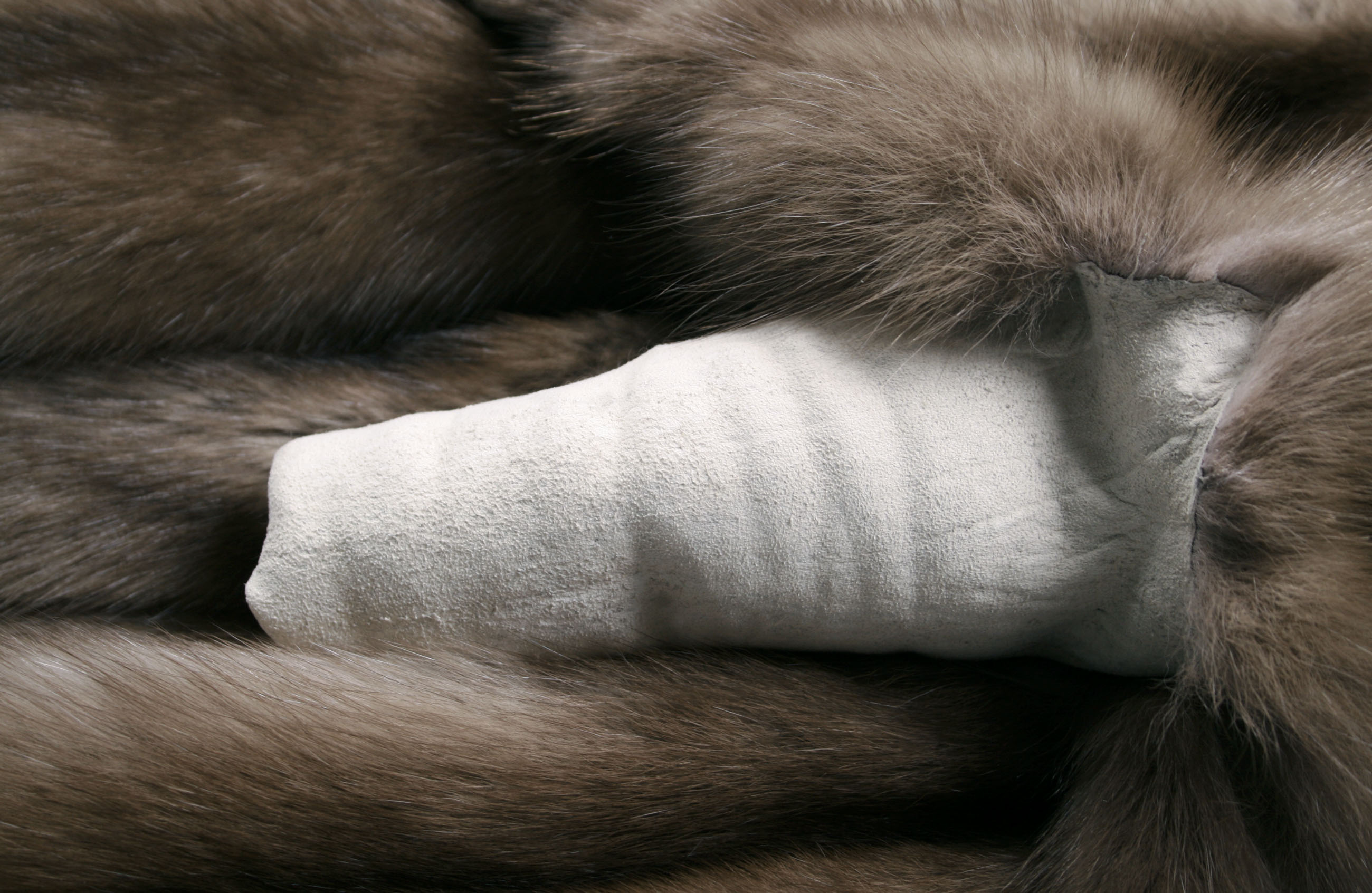 russian-sable-skins-bargusin-grey-3