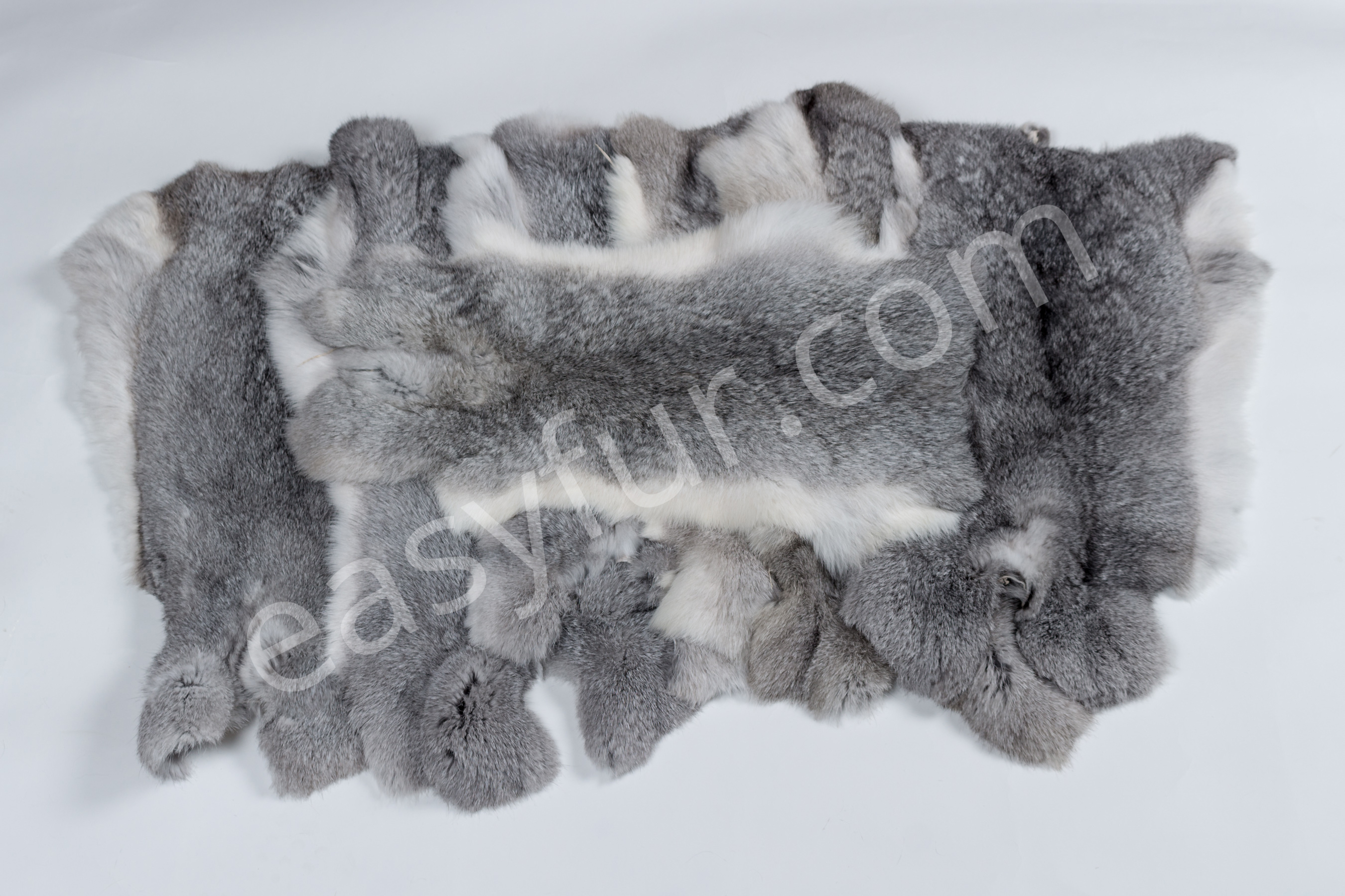 4-1978-Rabbit-Skins-Chinchilla-Style