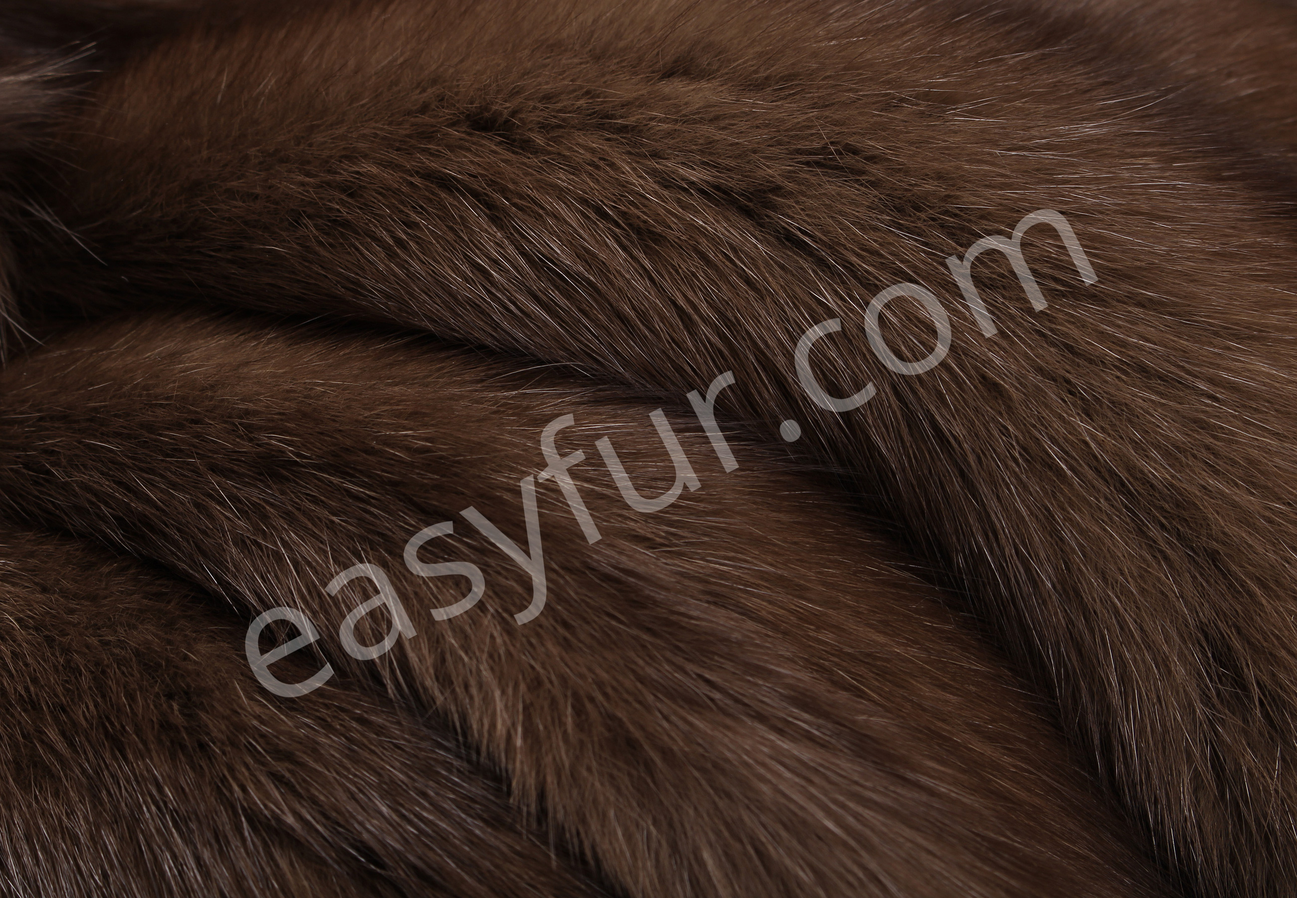 03-5492-Russian-Bargusin-Sable-Skins-easyfur