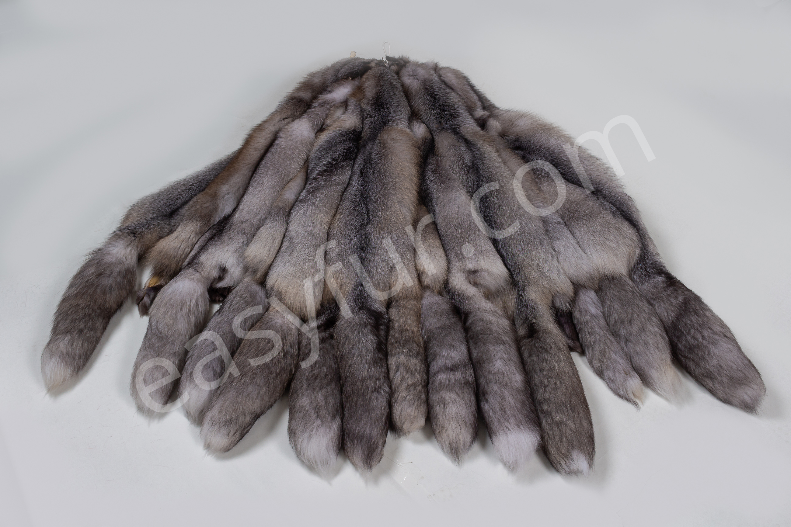 2-5670-Blue-Frost-Fuechse-Blue-Frost-Fox-Brown-Type