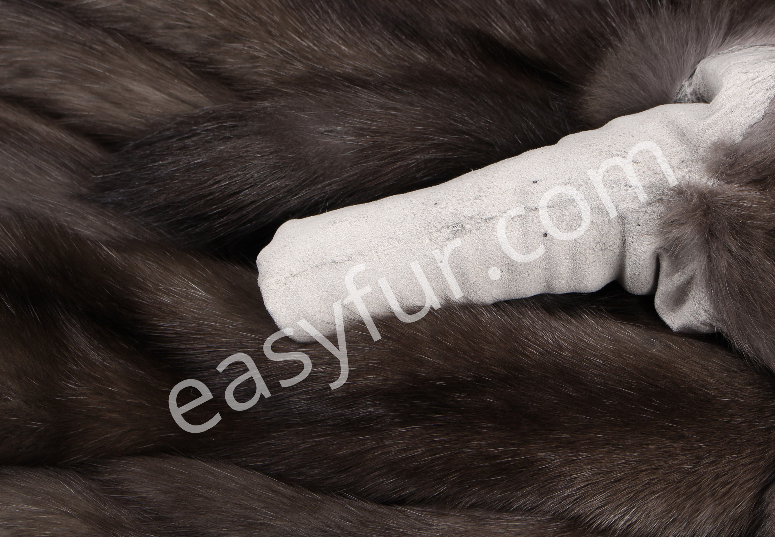 06-5495-Russian-Barguzin-Sables-easyfur