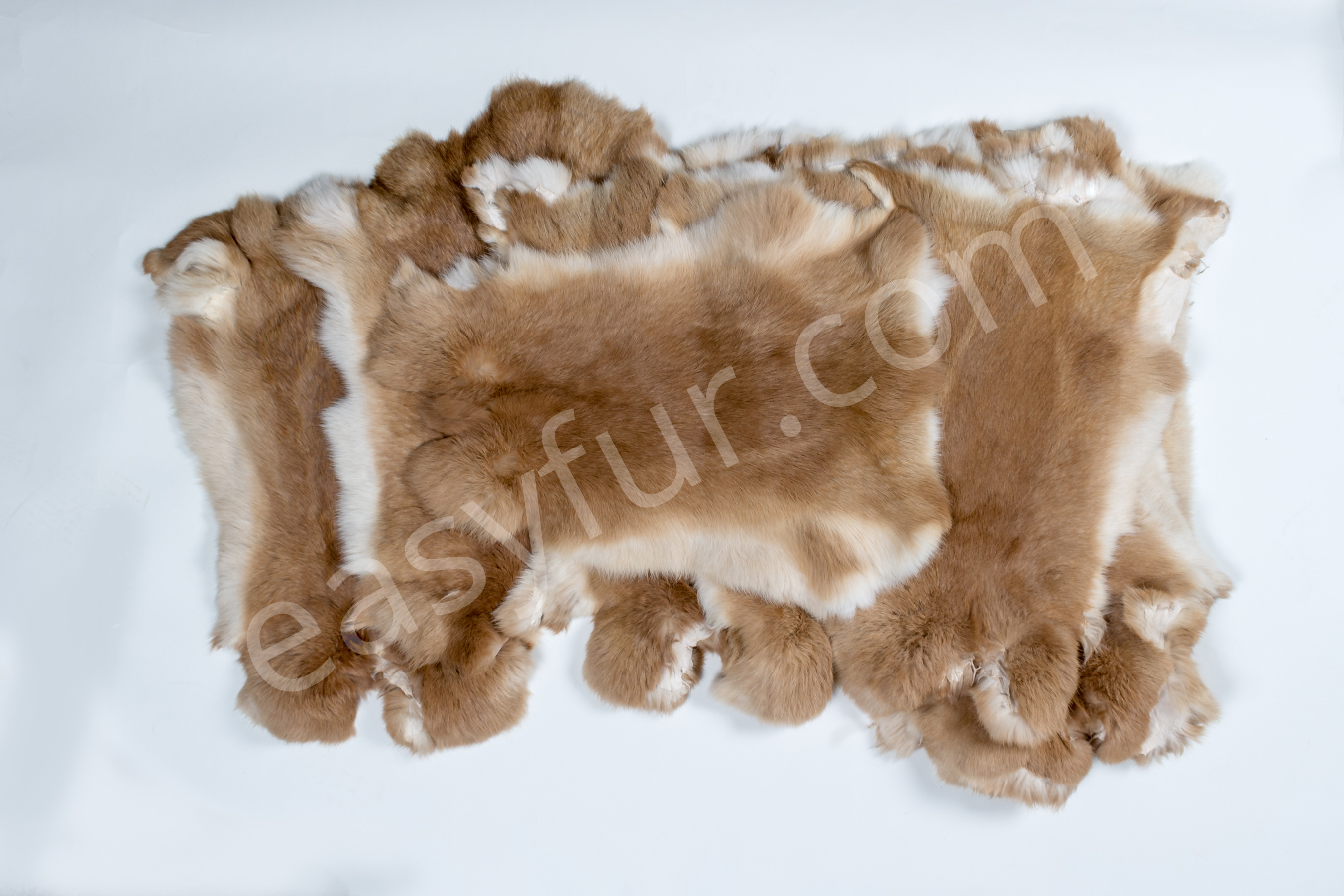 3-1980-Rabbits-Ginger-Kaninchen-Felle