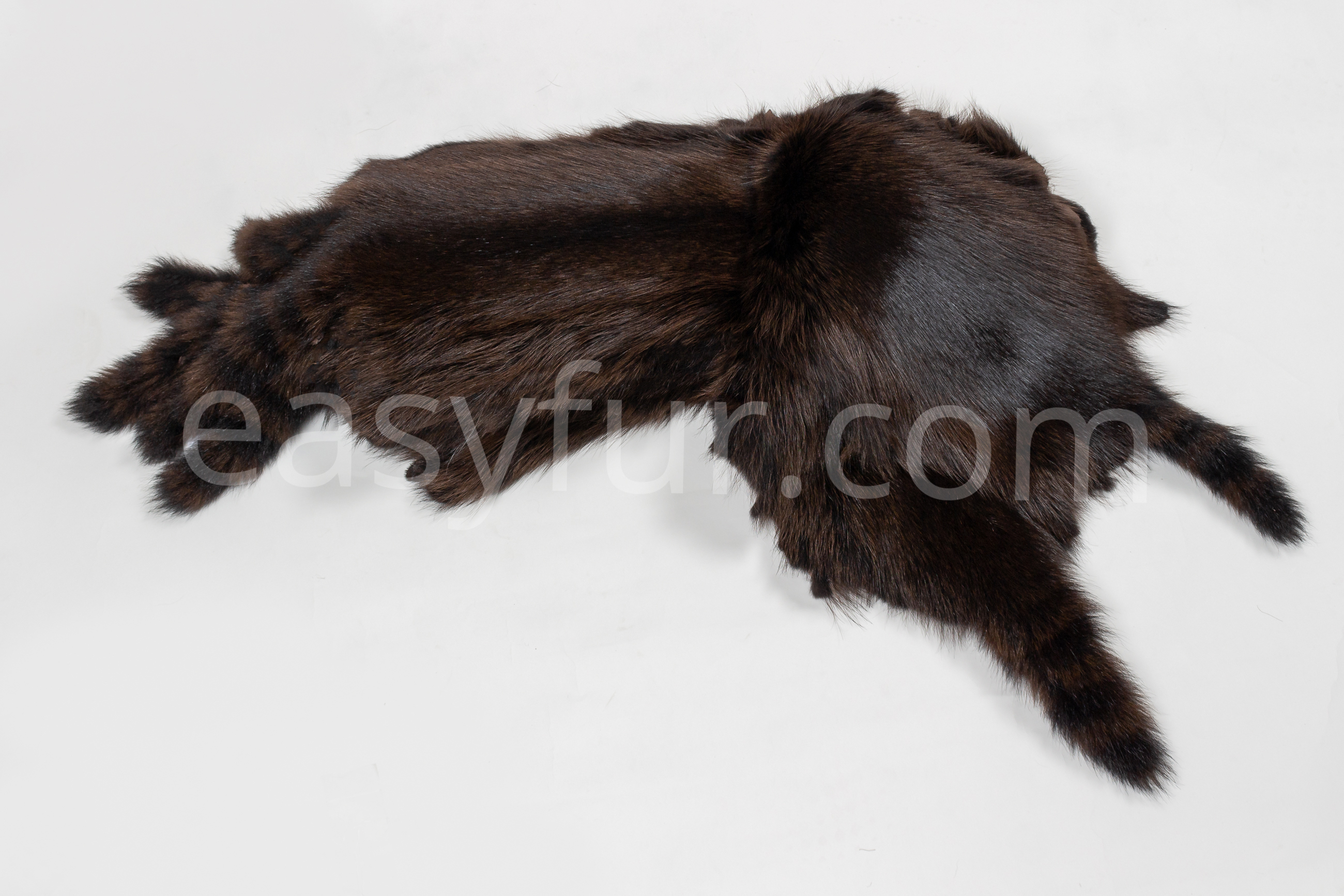 3-1858-Waschaer-Felle-Raccoon-Fur-Skins-Easyfur