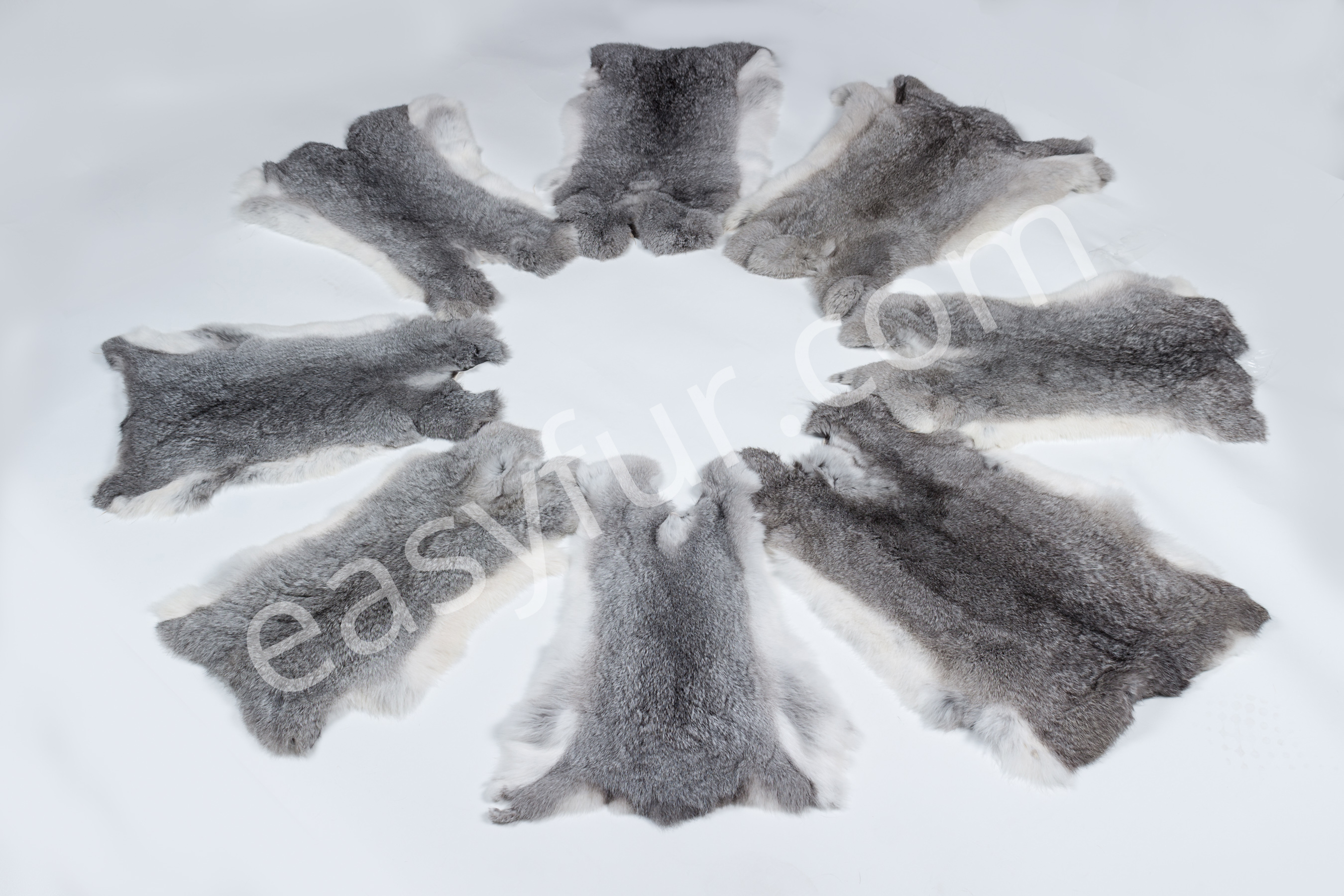 6-1978-Rabbit-Skins-Chinchilla-Style