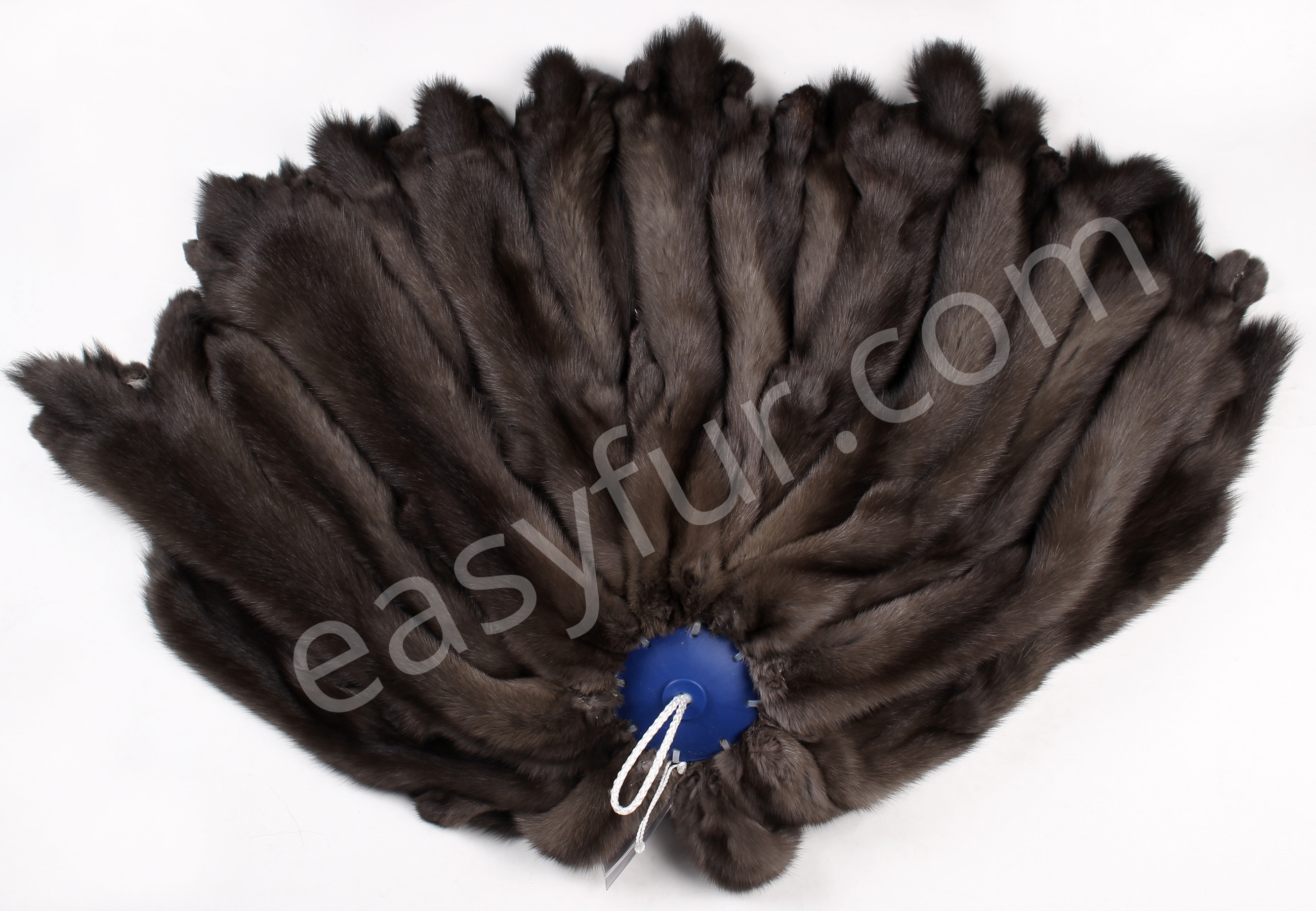 01-5495-Russian-Barguzin-Sables-easyfur