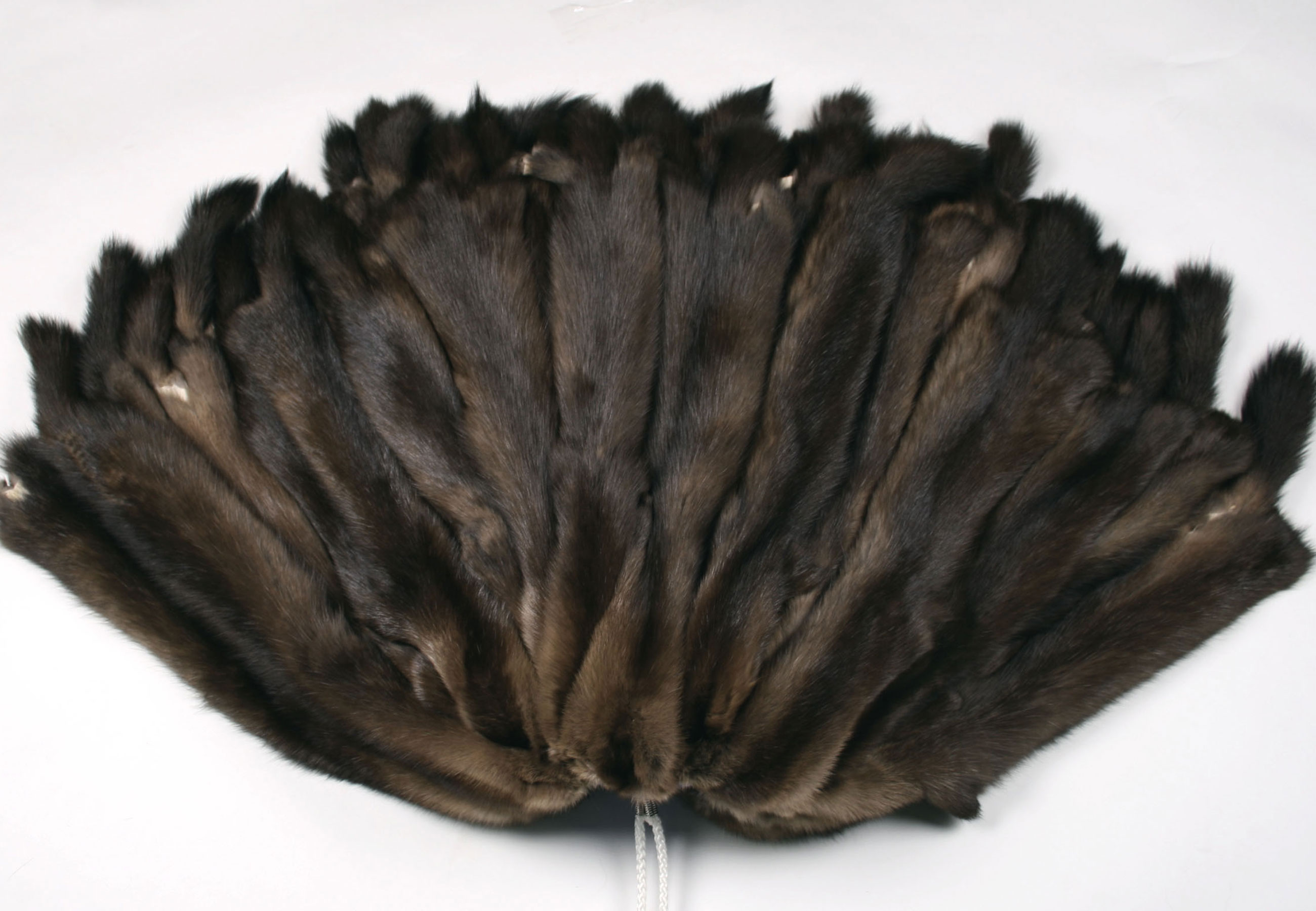 1-4969-Dark-sable-skins-Zobelfelle-Russland