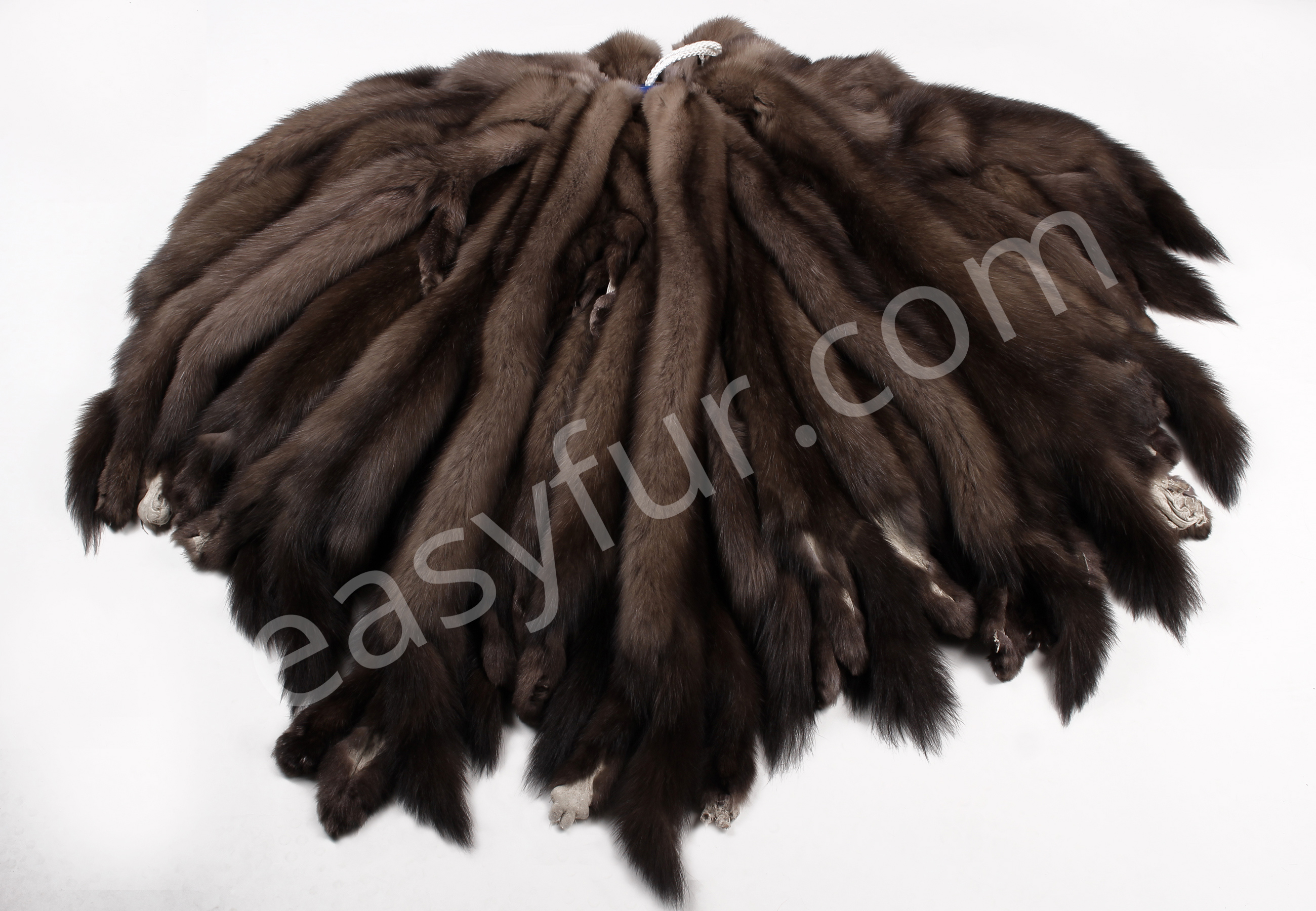 05-5489-Zobel-Felle-Tortora-echtpelz
