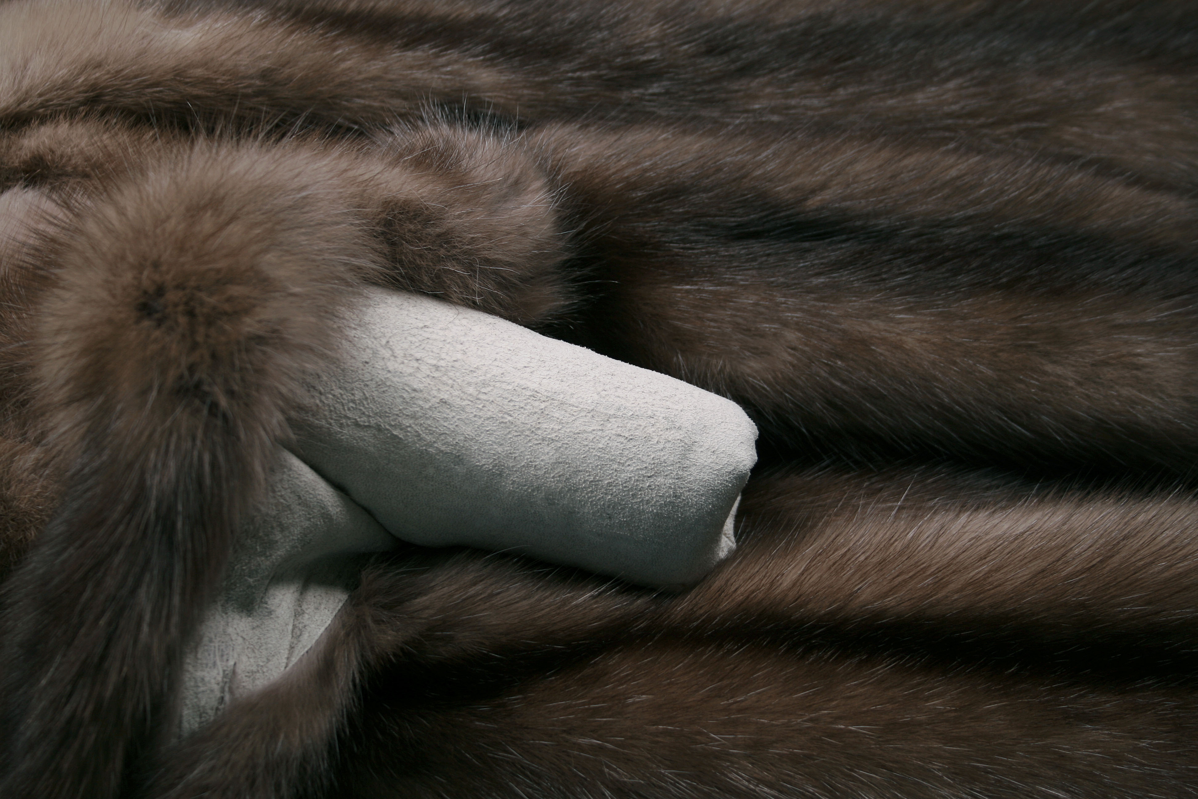 russian-sable-skins-656cb28a63eda2