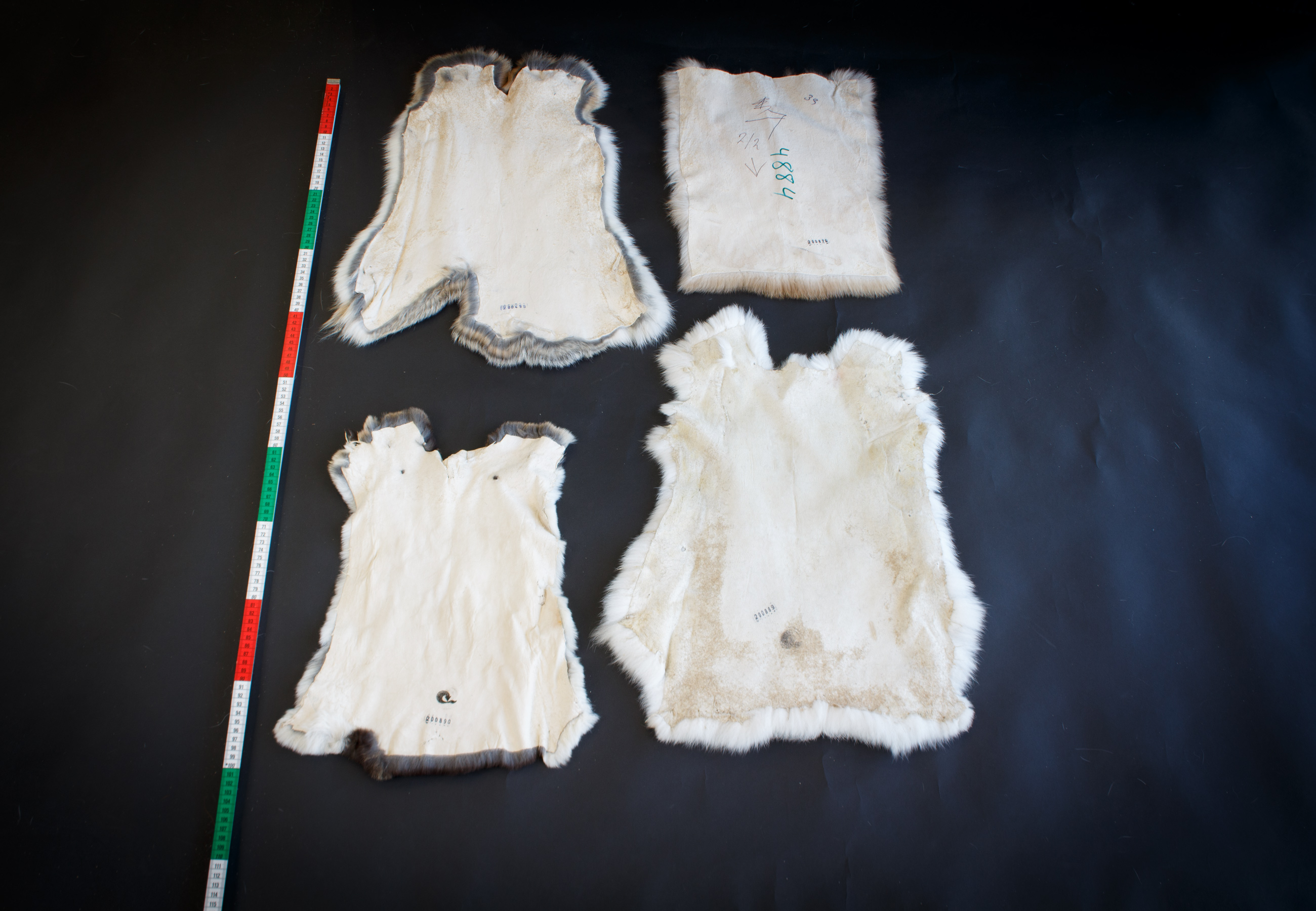New Rabbit Skin Tanned Rabbit Skins in a Bundle of 4 – For Crafts and Decoration