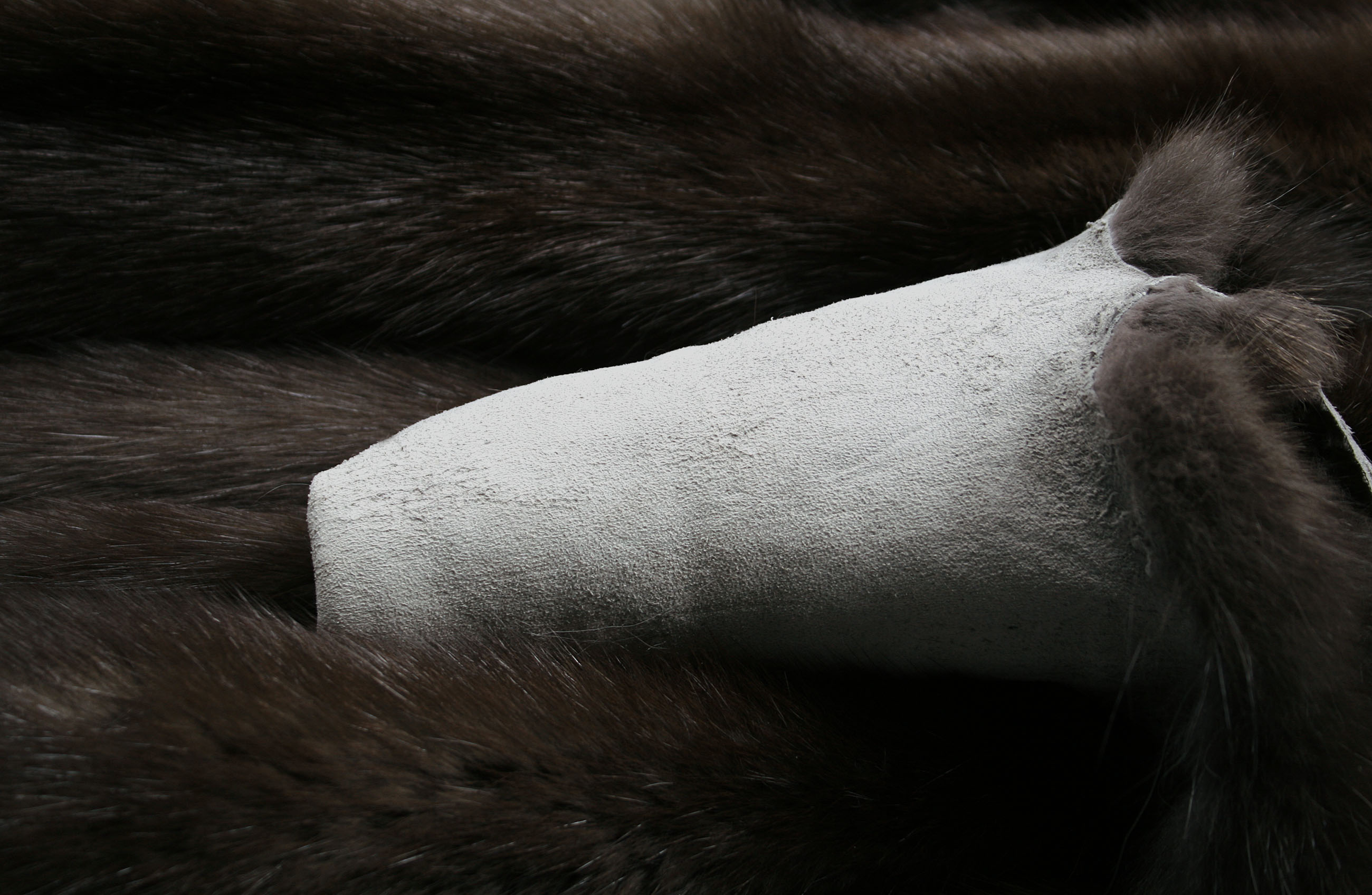 dark-russian-sable-skins-3