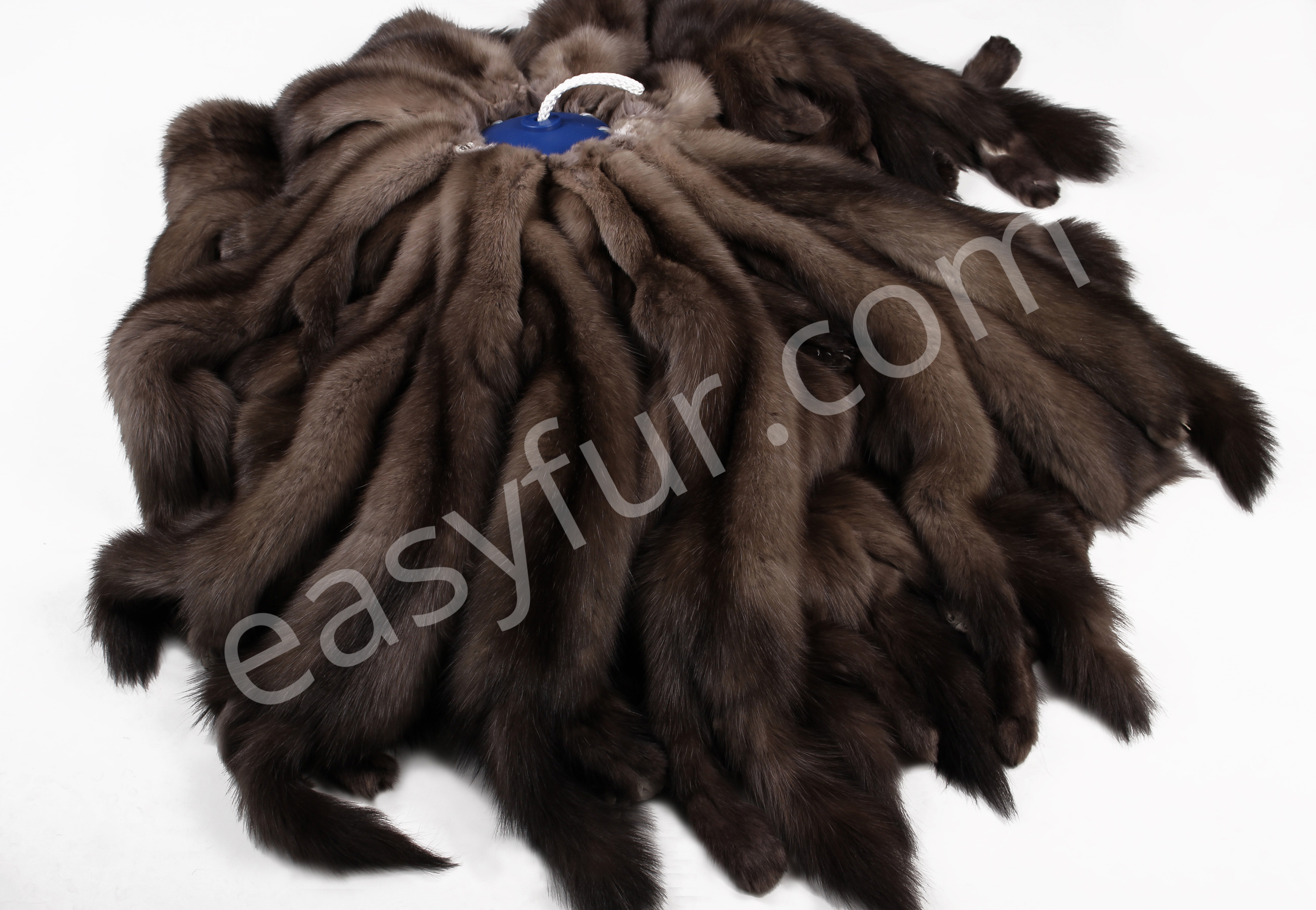 02-5489-Russian-Bargusin-Sable-Skins-Tortora