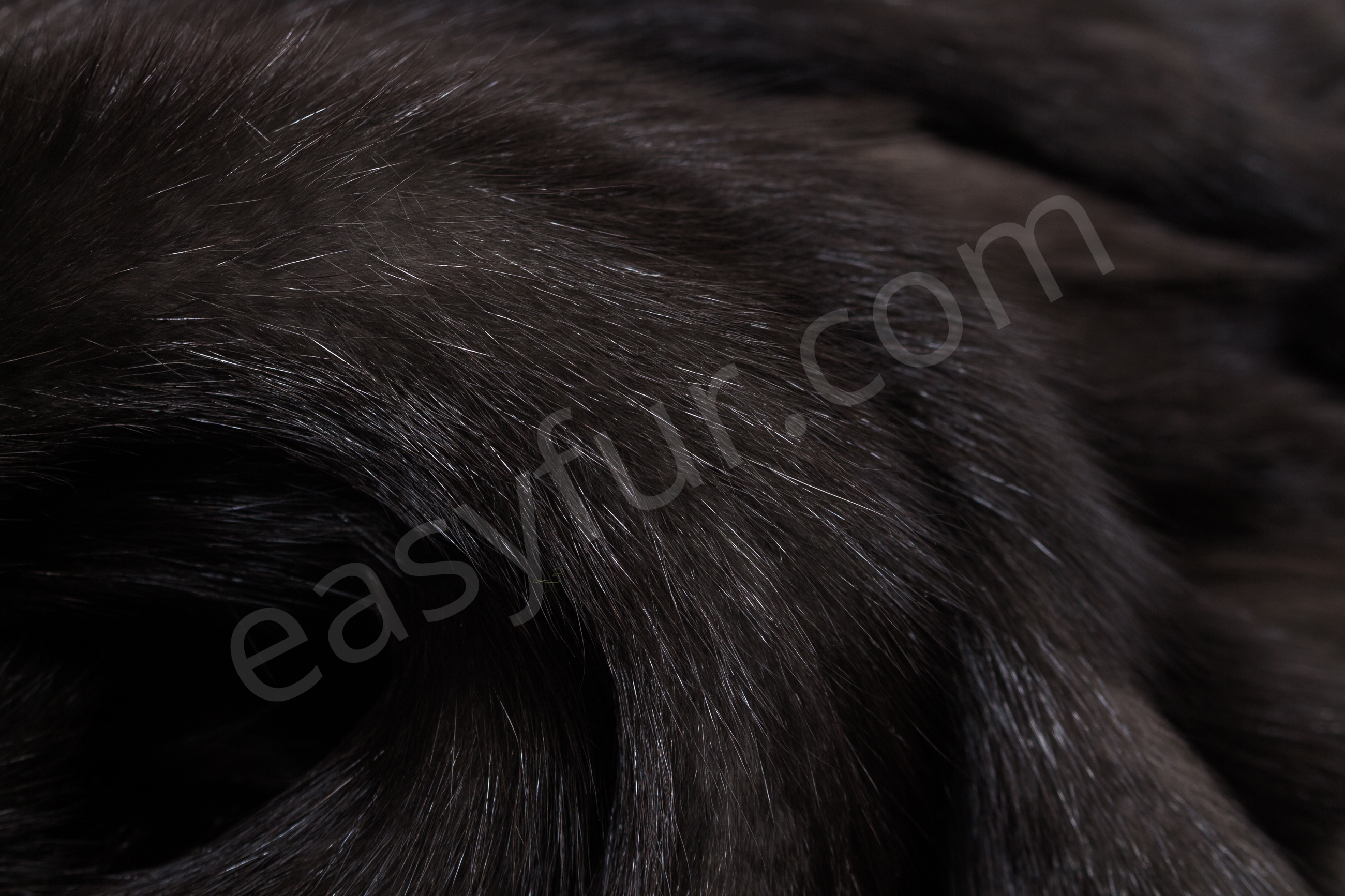 7-1850-Russische-Zobel-Felle-Russian-Sable-Skins-Easyfur