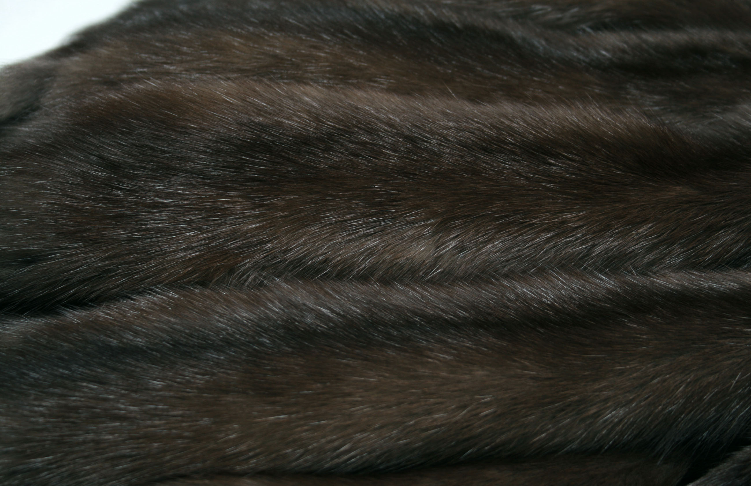 dark-russian-sable-skins-356d45fcbc3ede