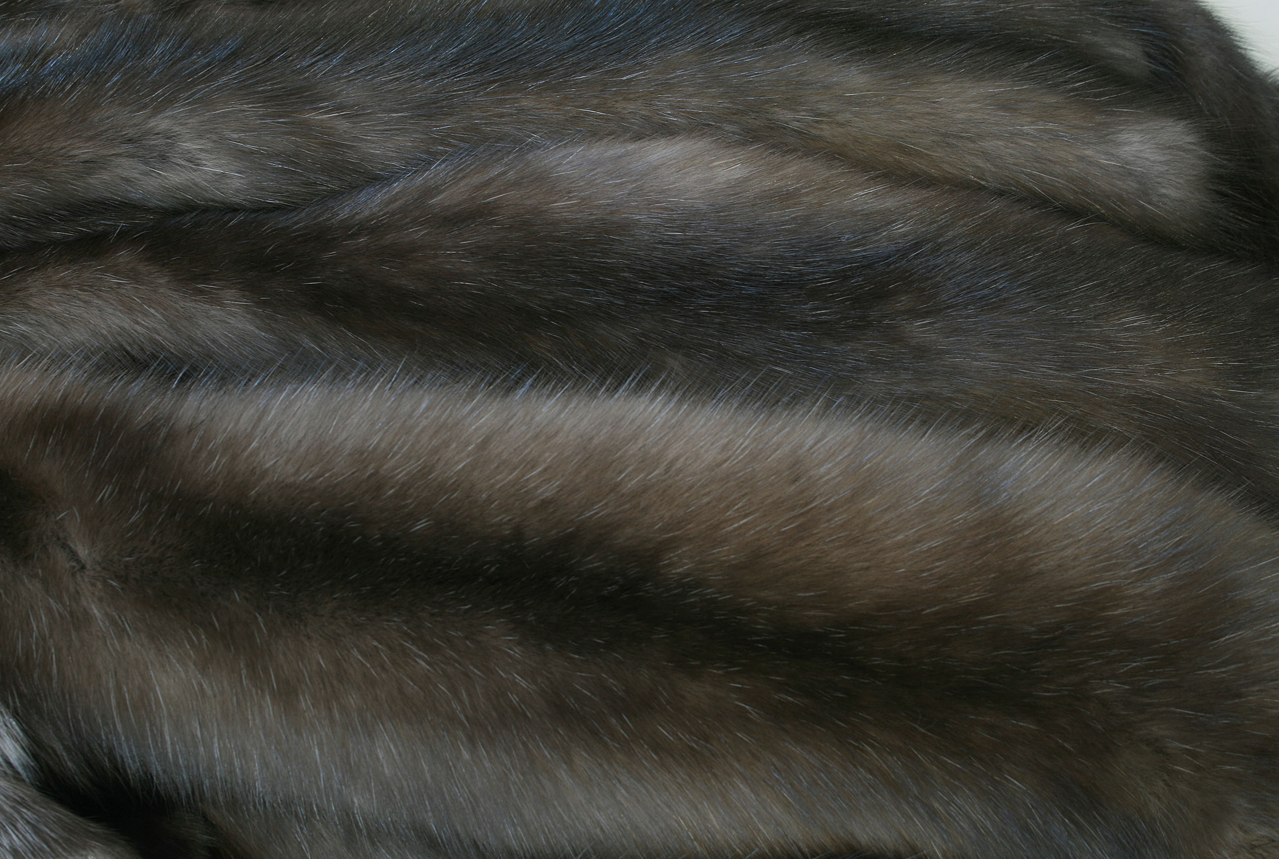 russian-sable-skins-5