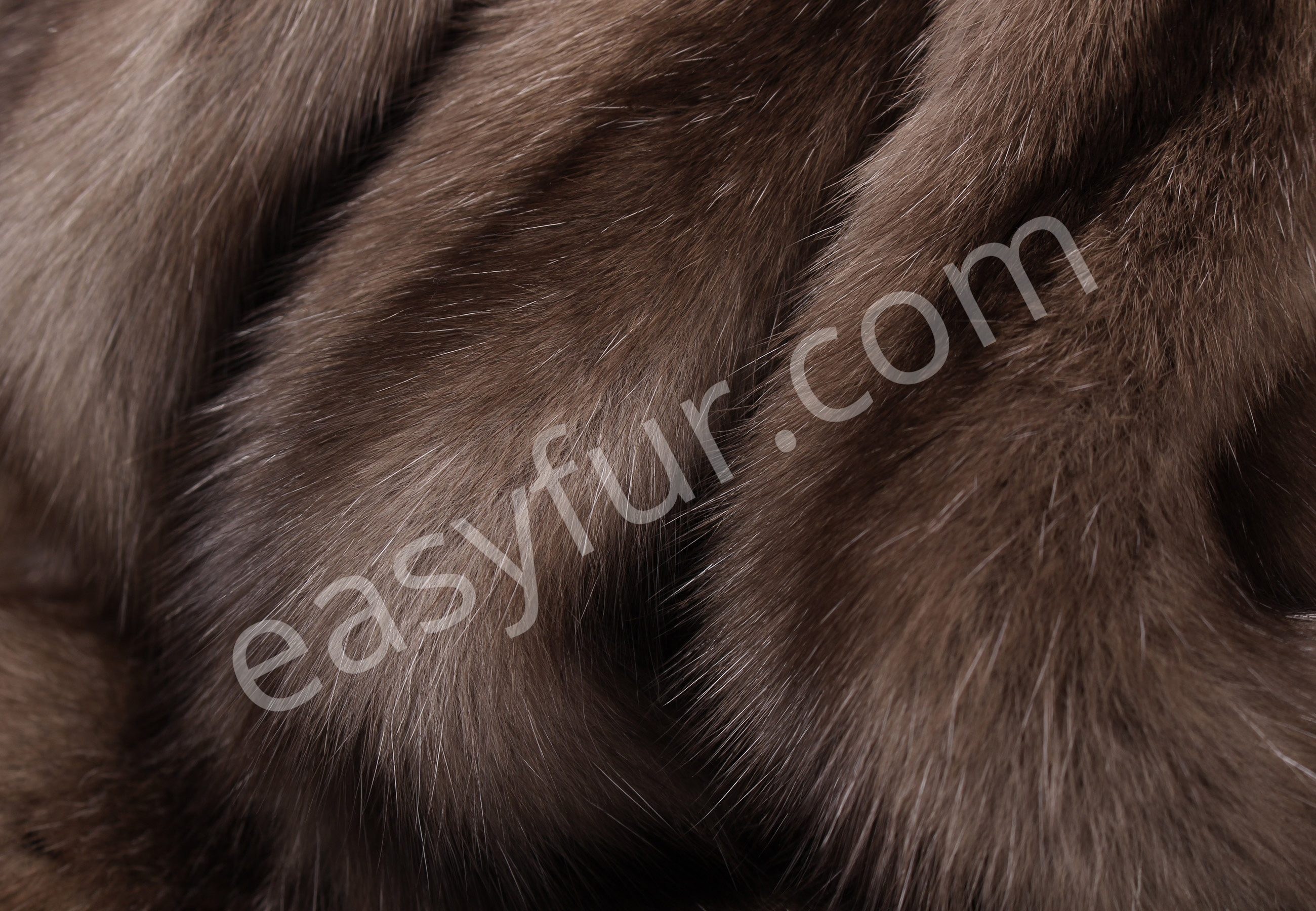 03-5489-Russian-Sable-Skins-Tortora