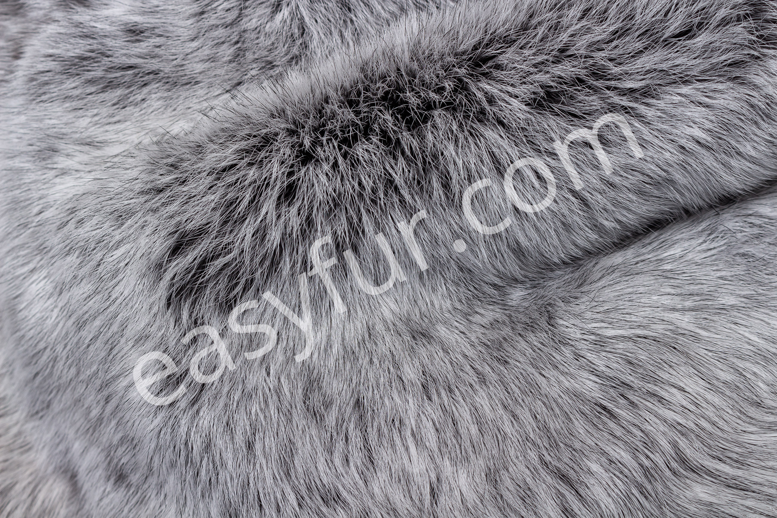 7-2419-Helle-Grosssilber-Kaninchen-Felle-Light-Silver-Rabbit-SkinsOONc2WIlYViE5