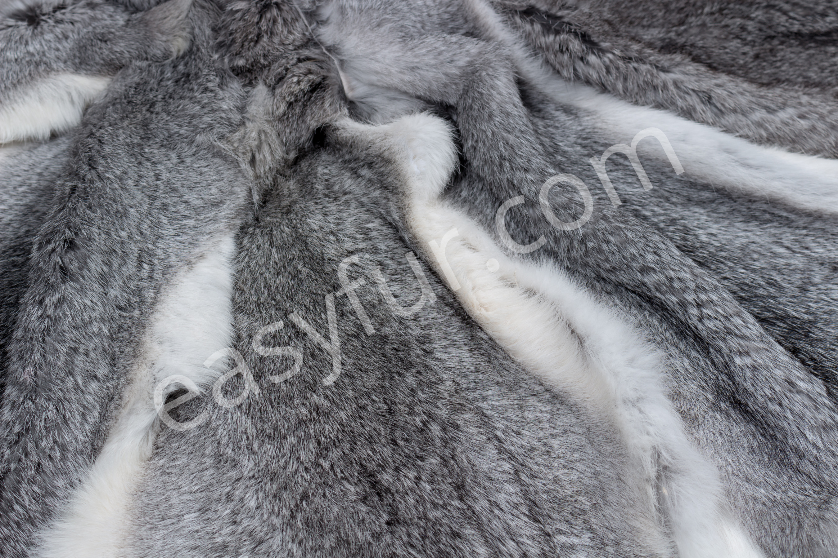 9-1978-Rabbit-Skins-Chinchilla-Style