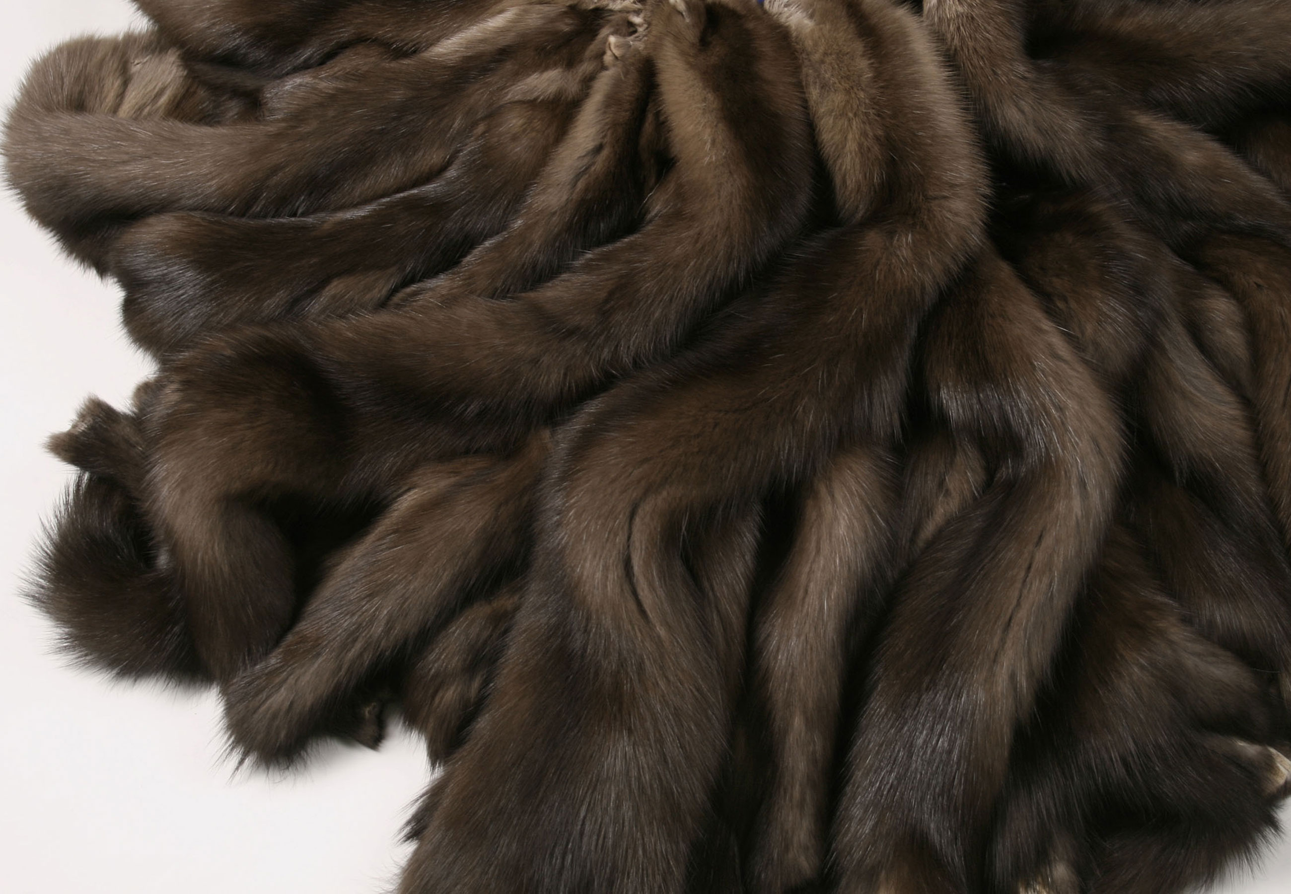 2-4970-Sable-skins-Barguzin-Sojuzpushnina-Zobelfelle