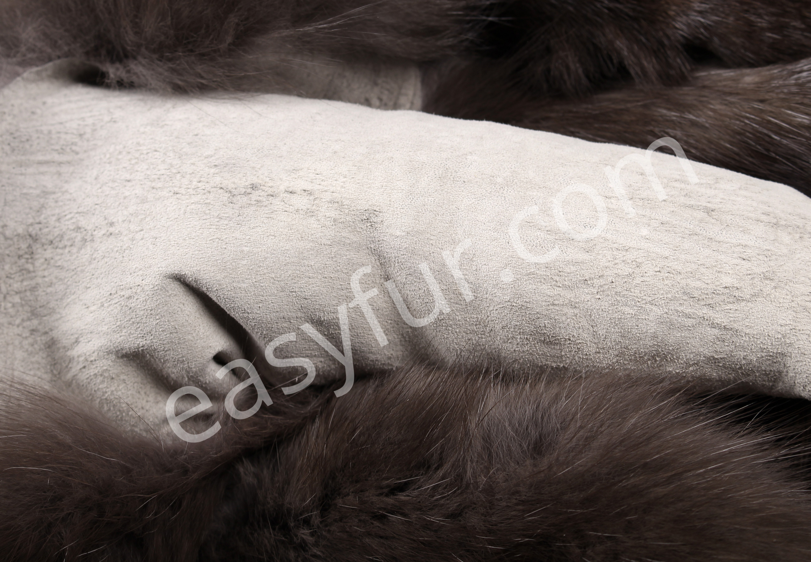 05-5495-Russian-Barguzin-Sables-Skins