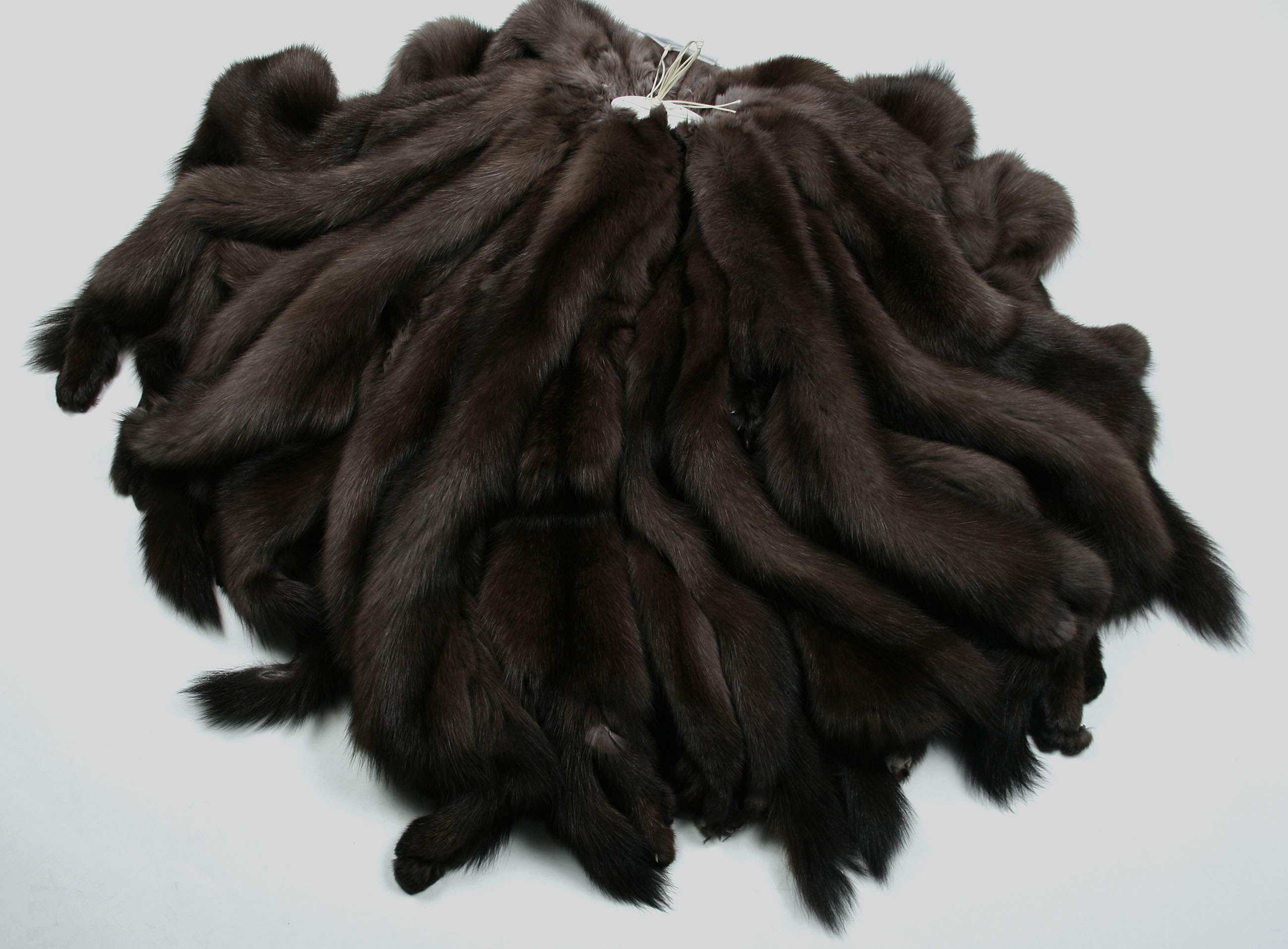 barguzin-russian-sbale-skins-4