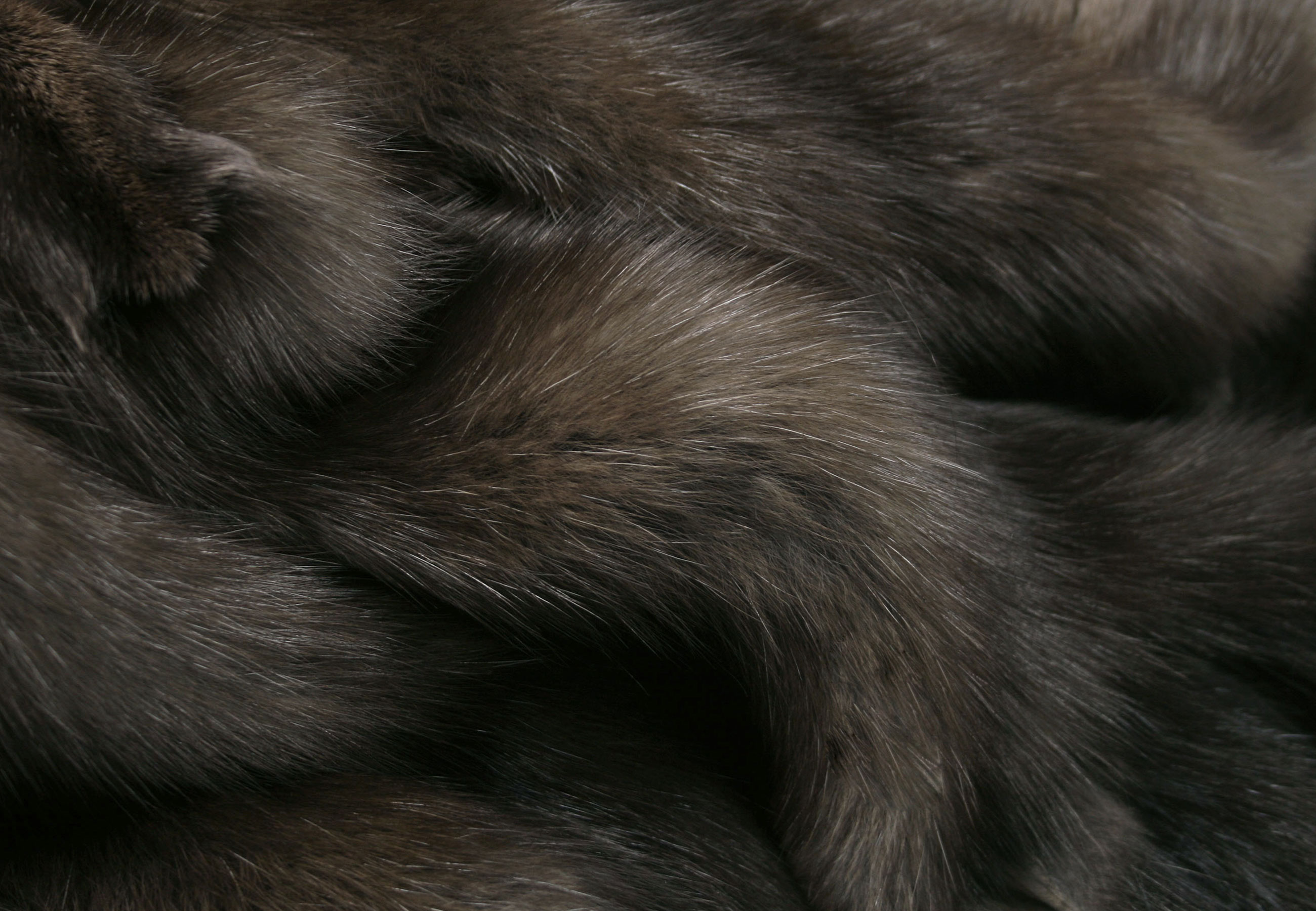 5-4968-Russian-Bargusin-Sable-Skins-Felle