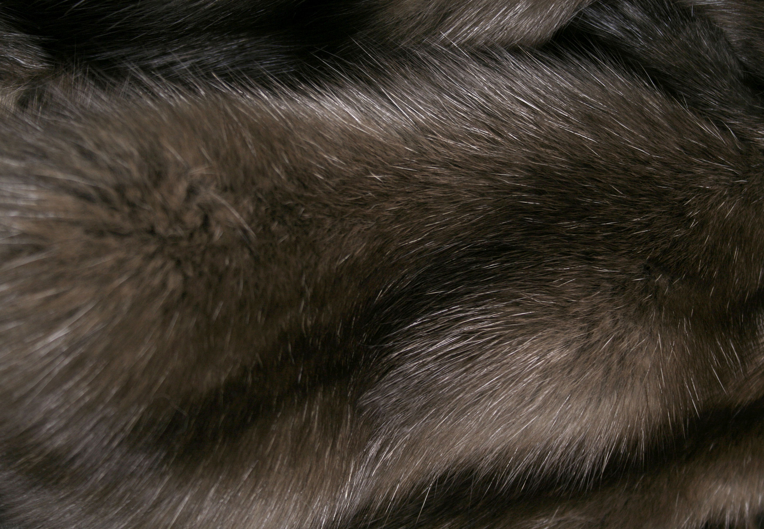 6-4968-Russian-Bargusin-Sable-Skins-Felle